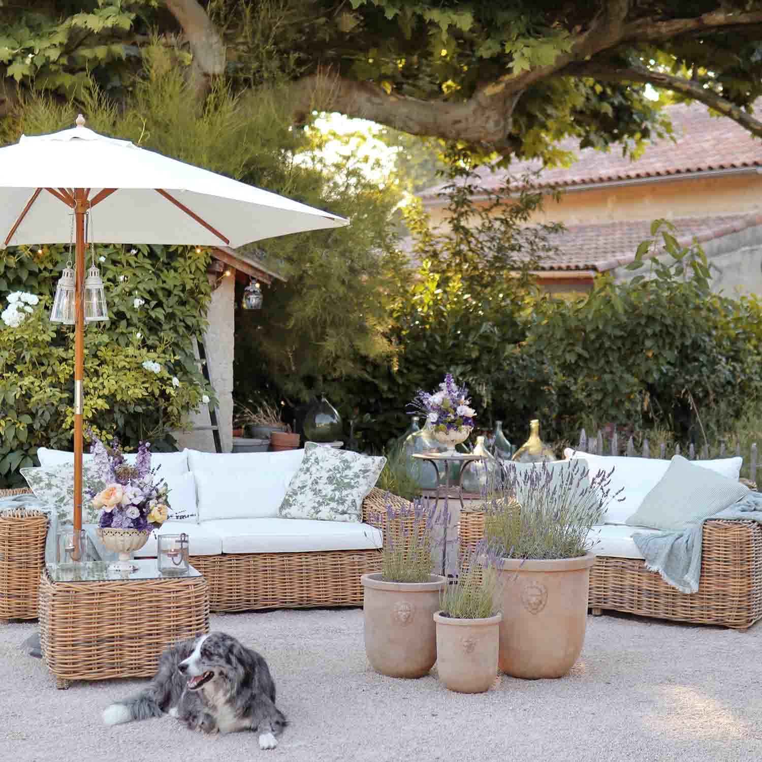 Conjunto de muebles de jardín de ratán con cojines blancos y macetas de lavanda en terraza con perro