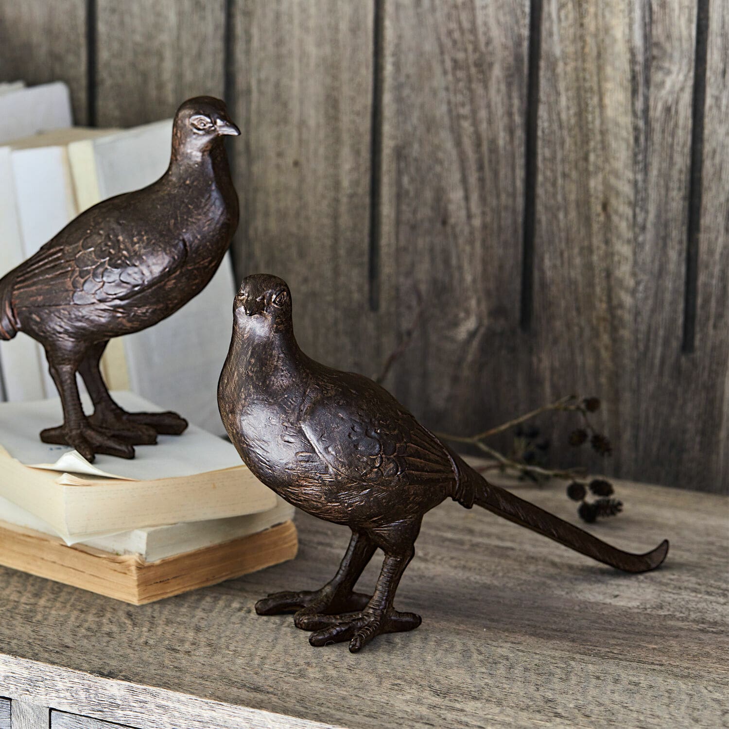 Set de 2 pájaros decorativos Roddy