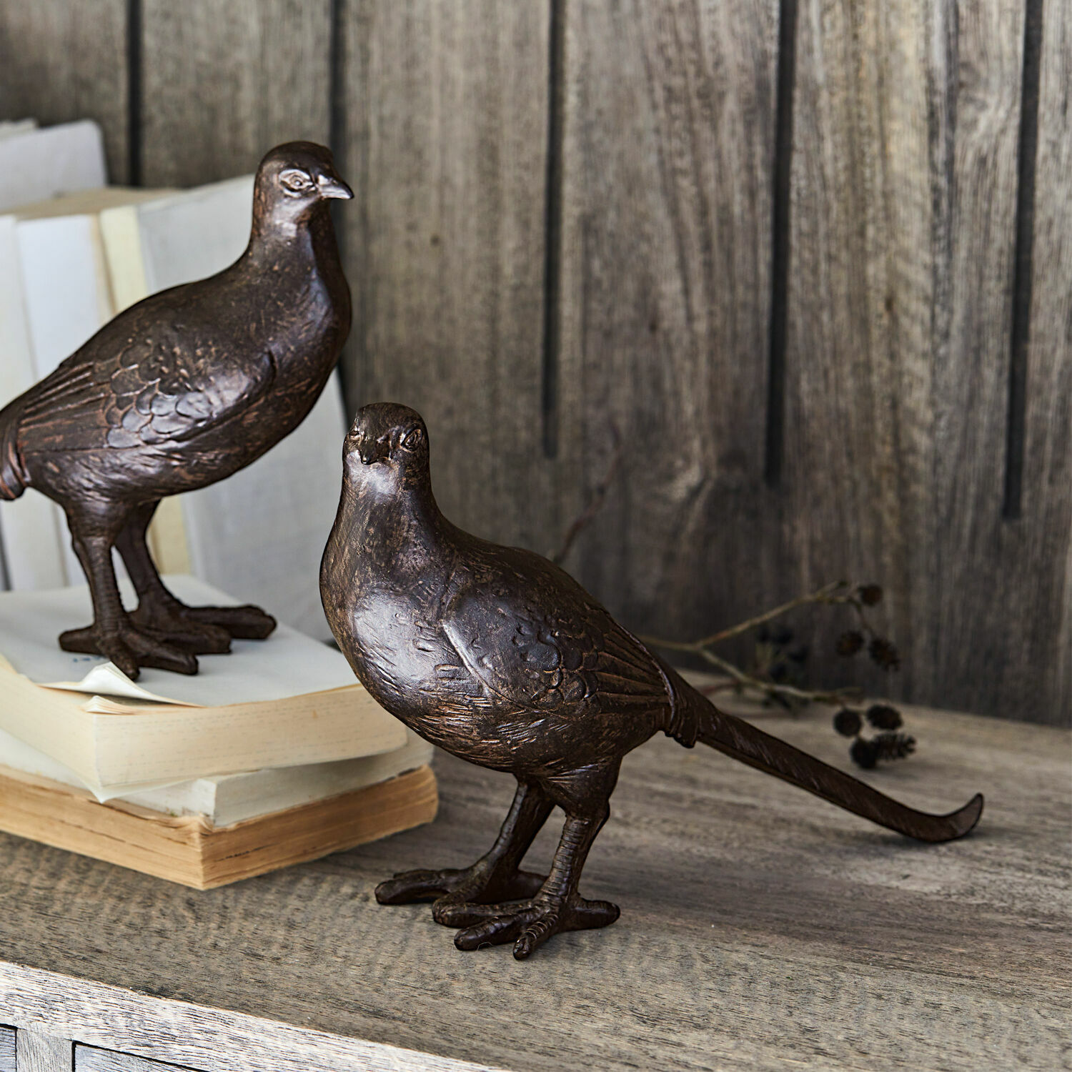 Set de 2 pájaros decorativos Roddy
