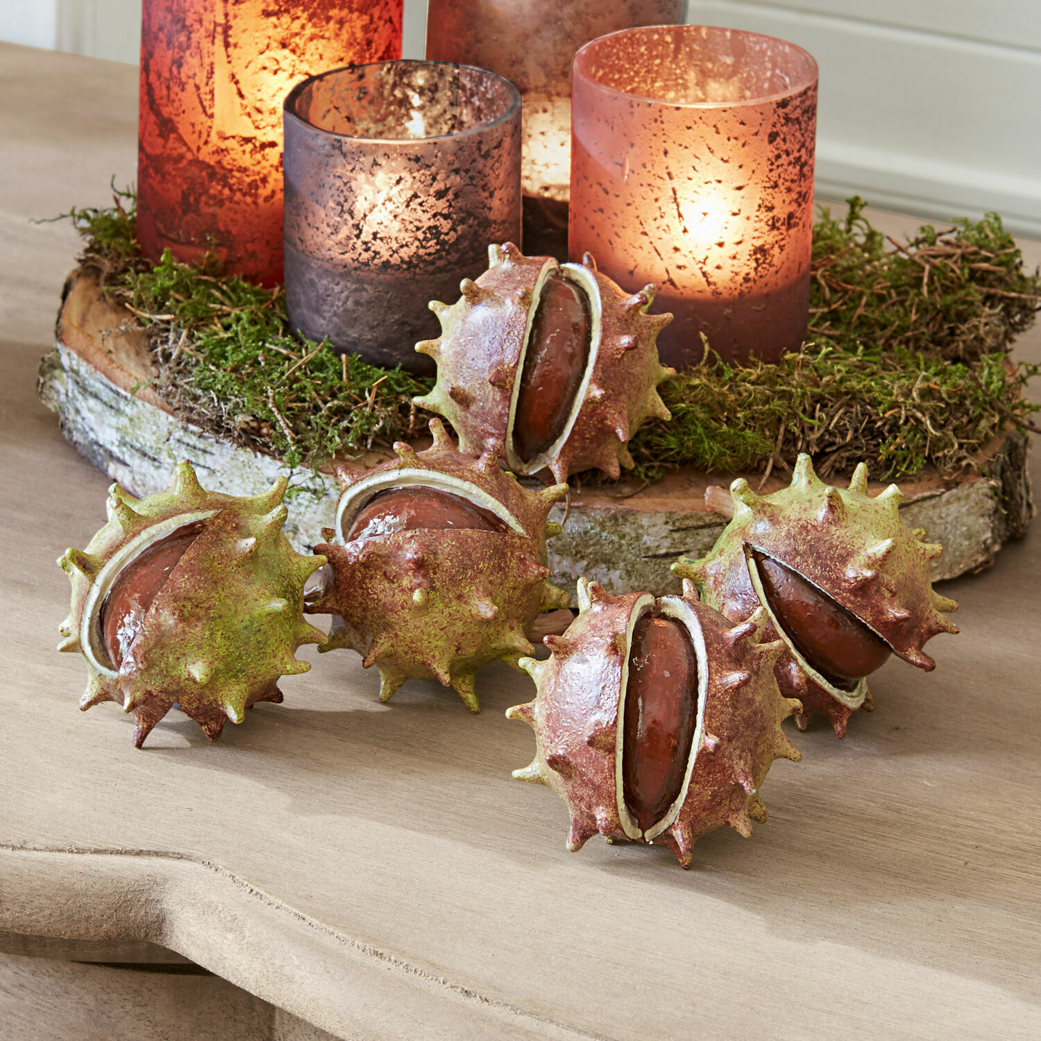 Set de 5 castañas decorativas Léo