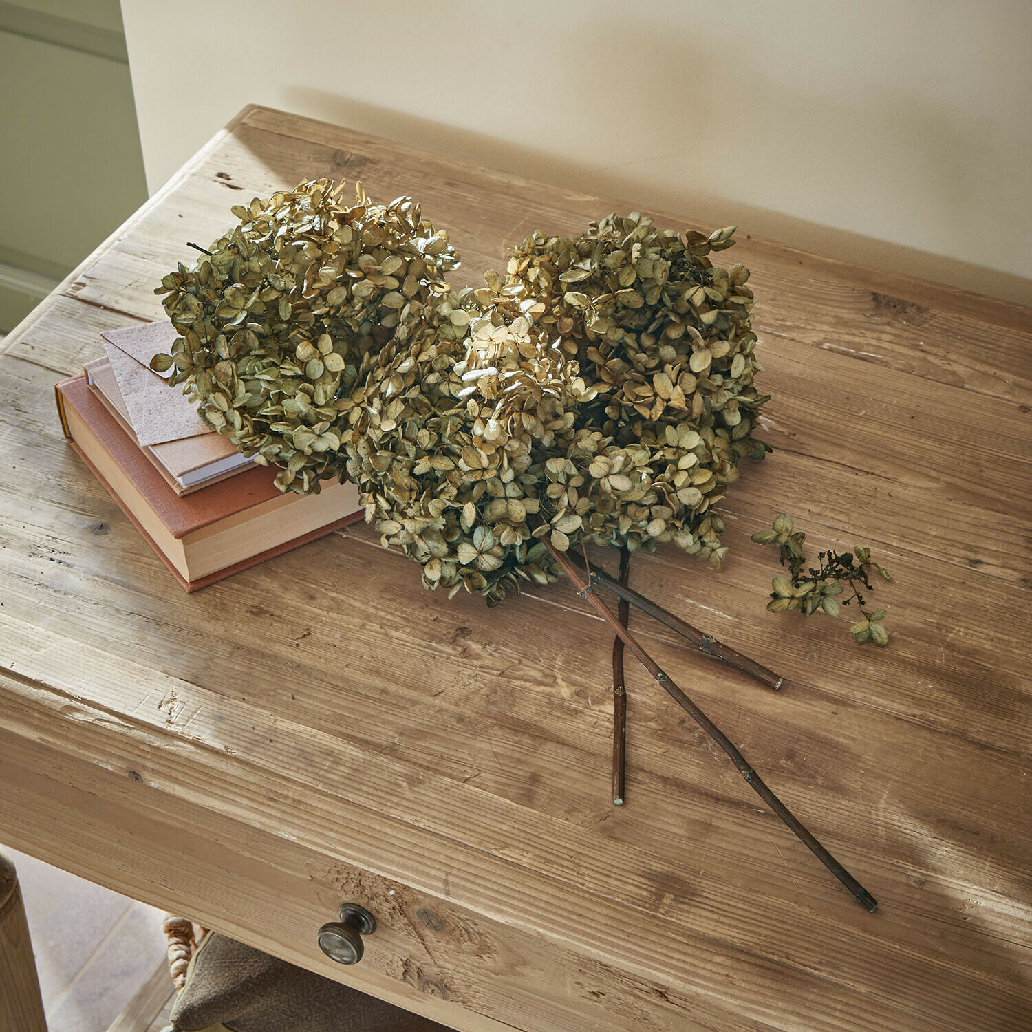 Set de 3 flores secas Brissonne Flores secas de hortensia beige sobre mesa de madera con libros y un sobre