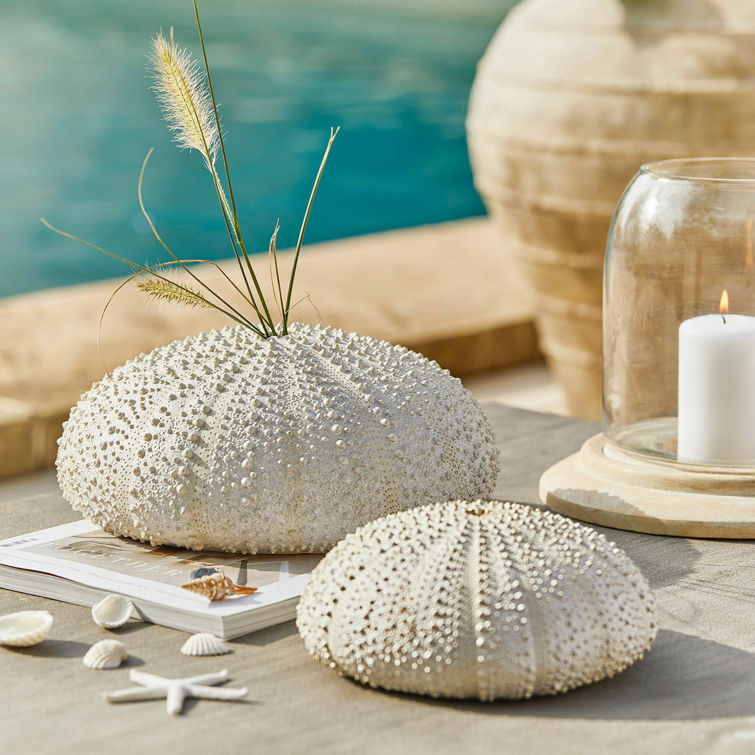 Set de 2 erizos de mar decorativos Kimbar Erizos de mar blancos decorativos sobre mesa con hierbas naturales y vela, estilo costero