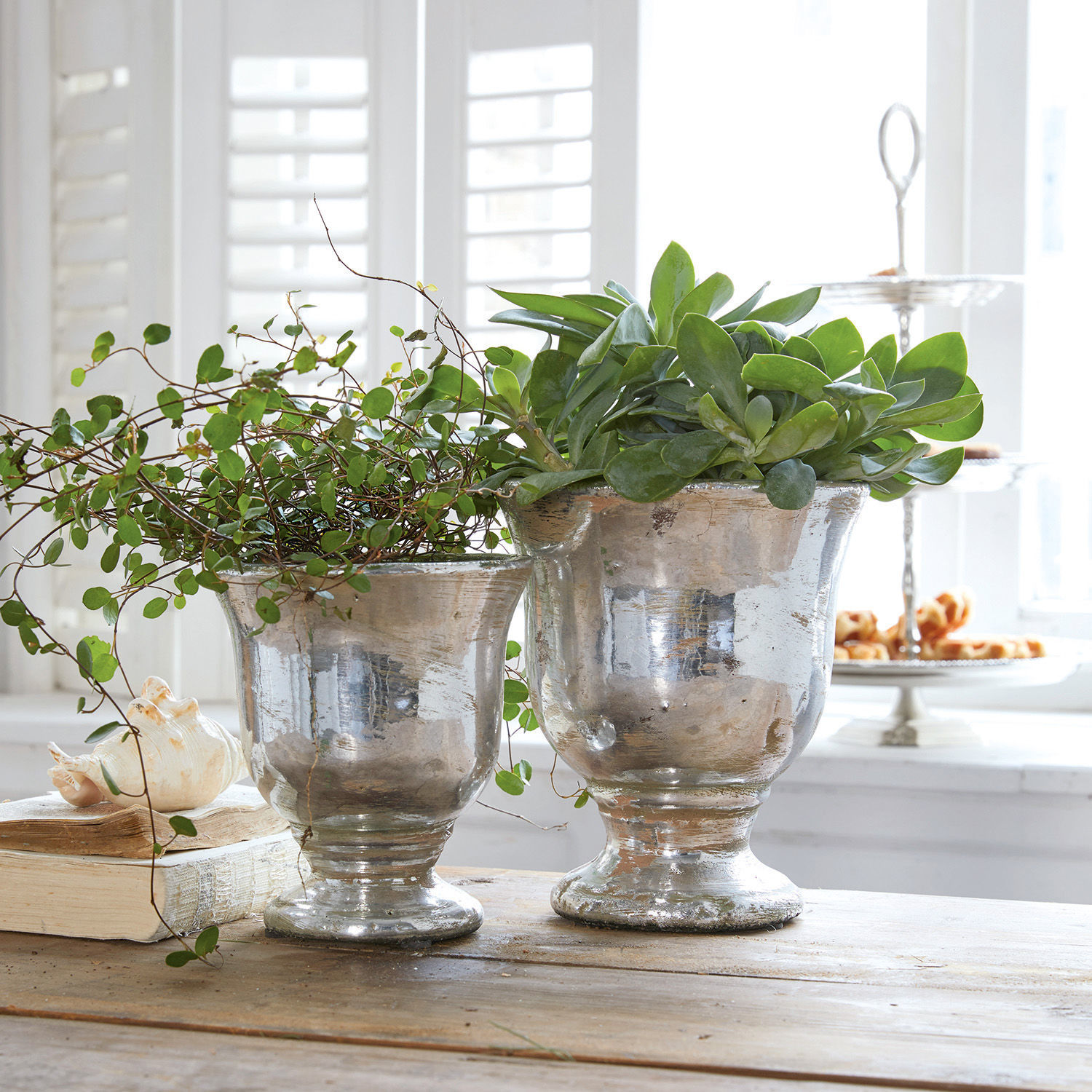 Set de 2 maceteros Banon Dos macetas metálicas plateadas con plantas verdes sobre mesa de madera en interior luminoso