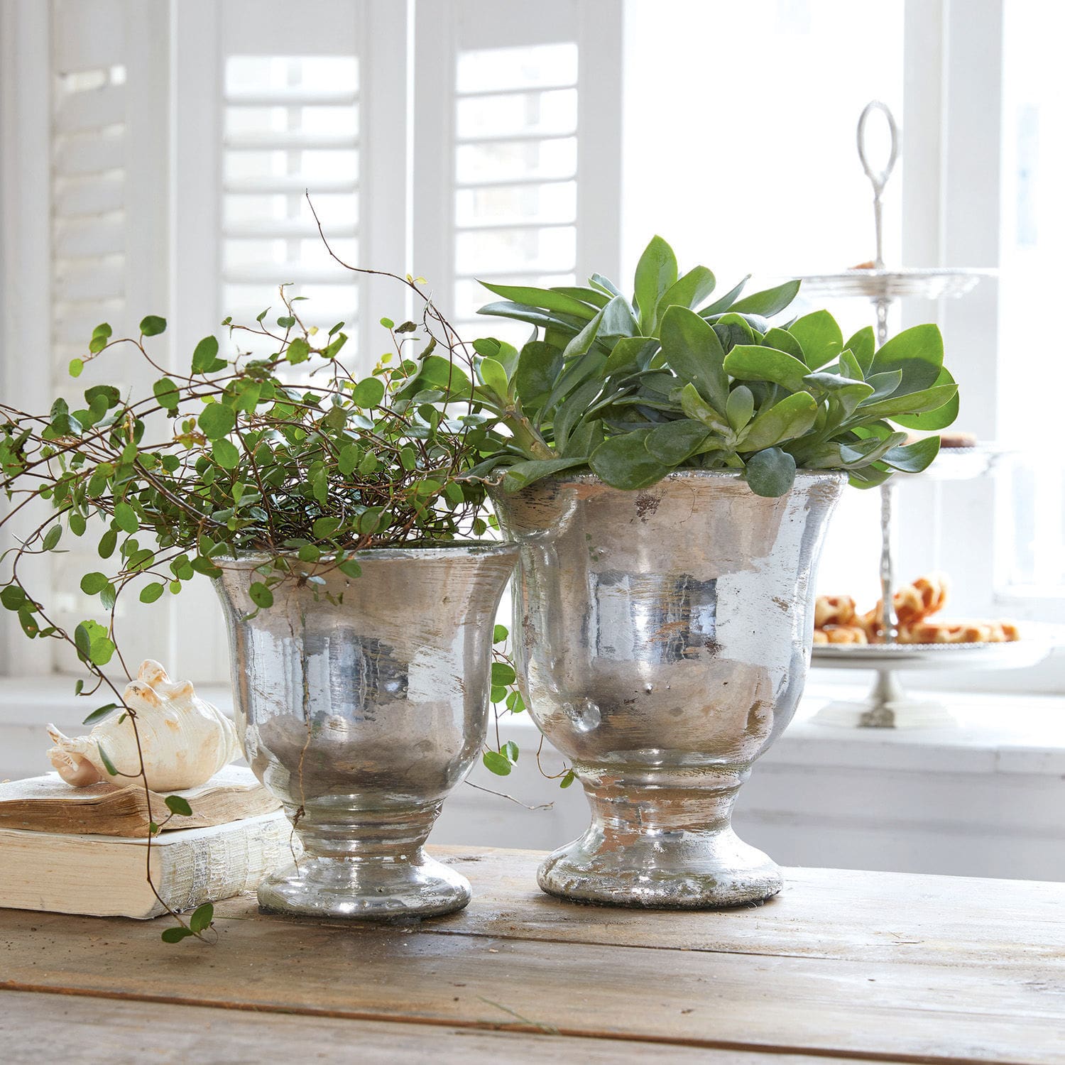 Set de 2 maceteros Banon Dos macetas metálicas plateadas con plantas verdes sobre mesa de madera en interior luminoso