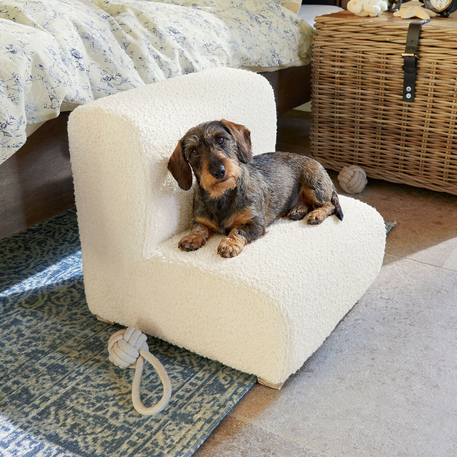 Pequeño perro salchicha acostado en sillón crema de material suave en habitación acogedora con alfombra