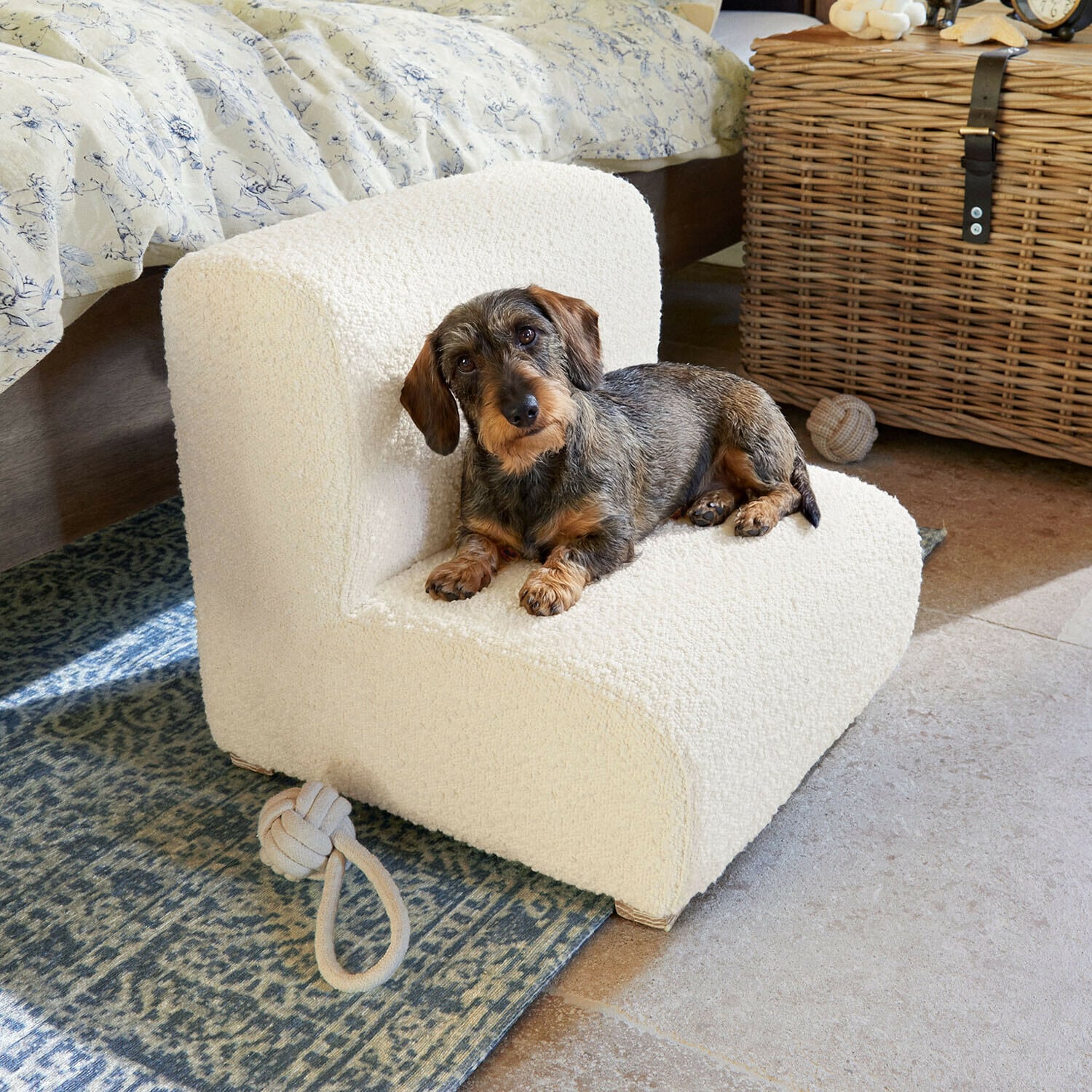 Escalera para mascotas Héloriane Pequeño perro salchicha acostado en sillón crema de material suave en habitación acogedora con alfombra