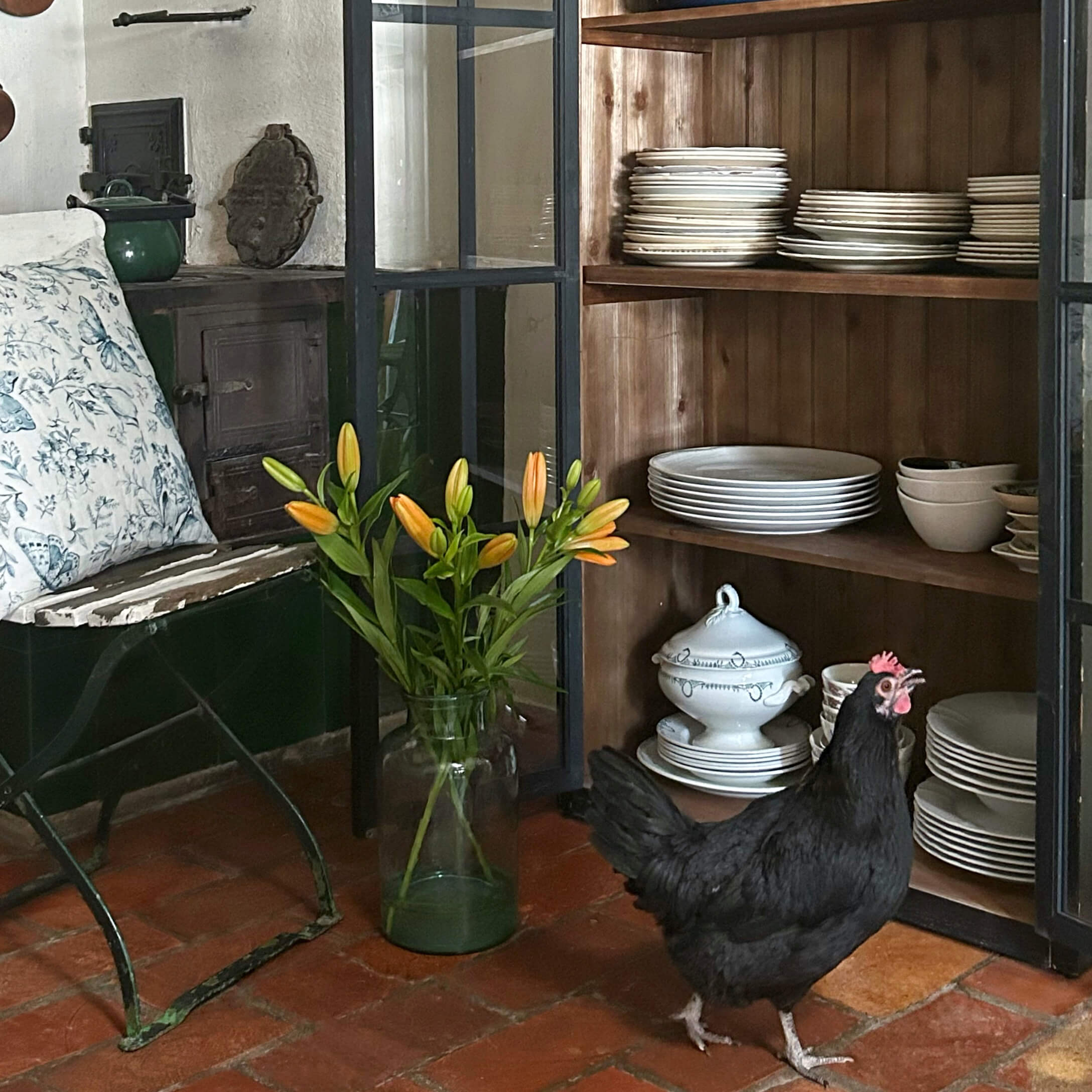 Gallina negra frente a vitrina de madera con vajilla blanca y lirios naranjas en jarrón de vidrio
