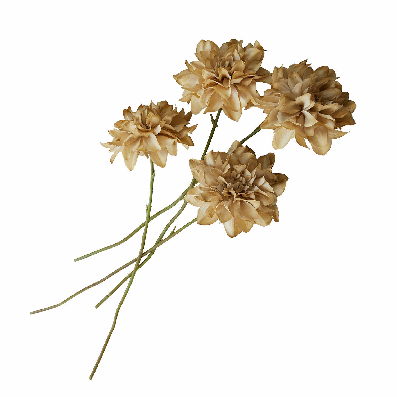 Set de 4 flores decorativas Cappellina Flores artificiales decorativas beige con tallos verdes para decoración de interiores