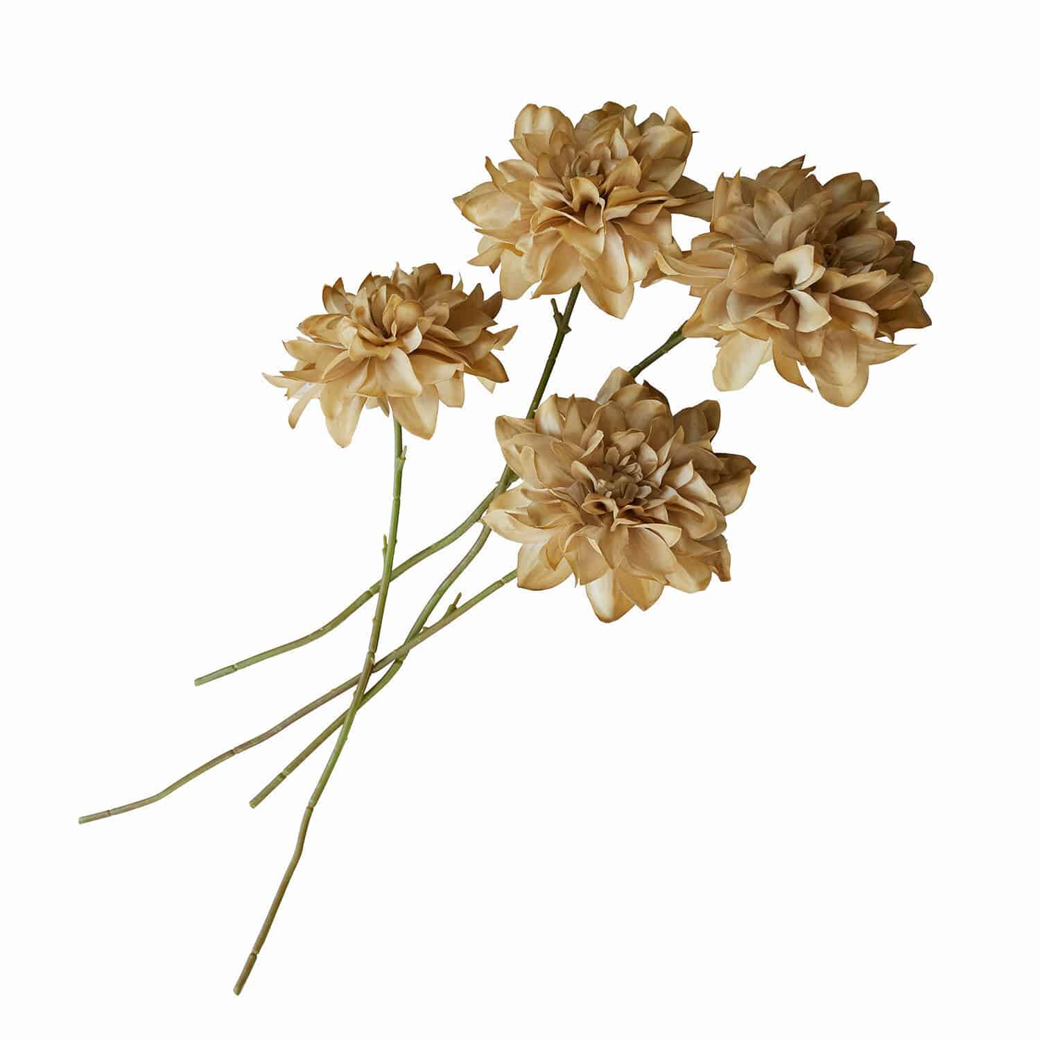 Set de 4 flores decorativas Cappellina Flores artificiales decorativas beige con tallos verdes para decoración de interiores