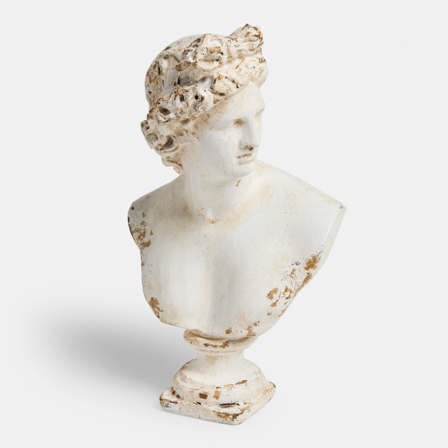 Busto Isoldene Busto Isoldene