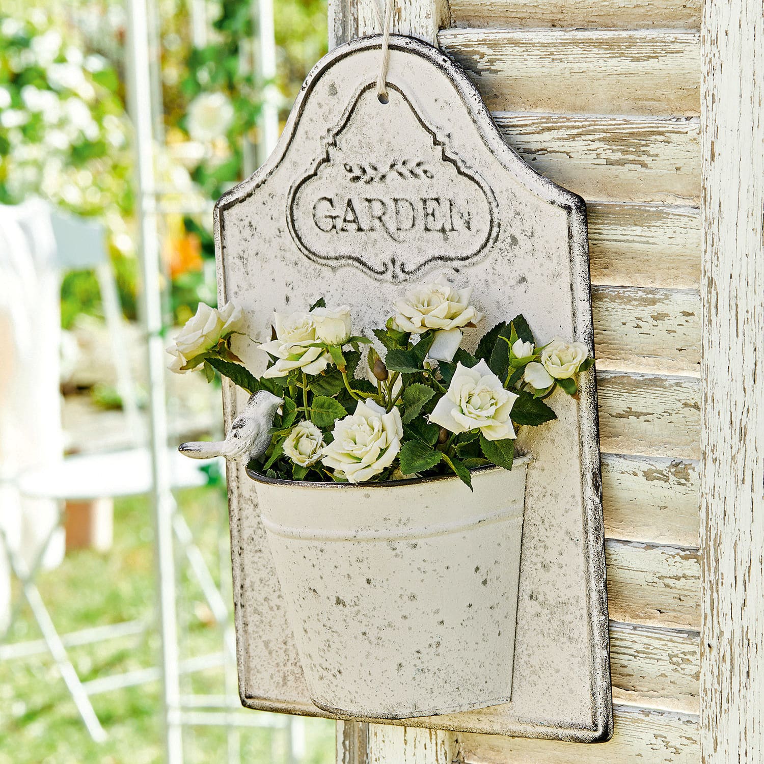 Maceta de pared Helsa Decoración de jardín de metal envejecido con rosas blancas y texto Garden en crema