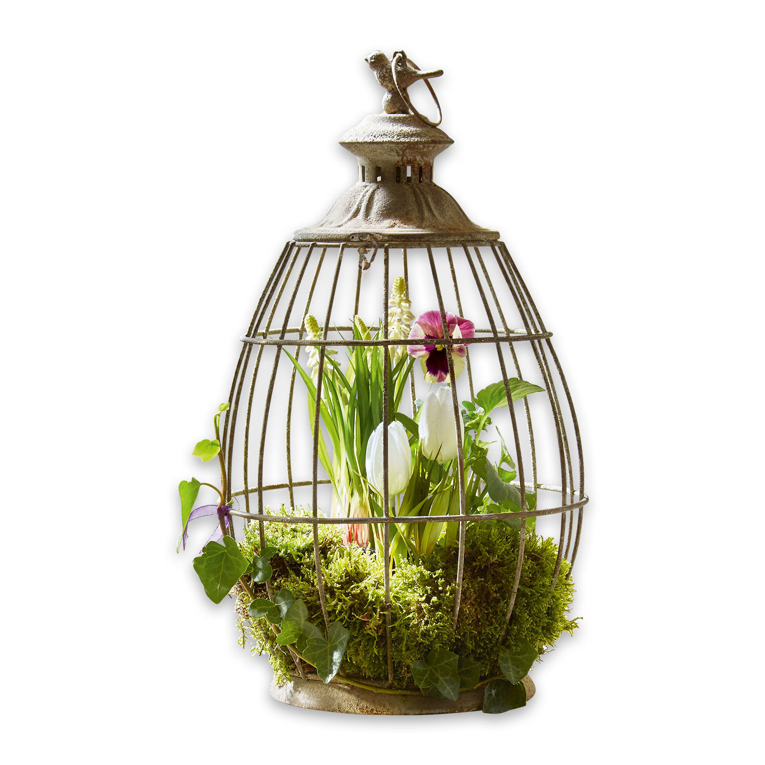 Farol Morena Jaula decorativa de metal con pájaro, musgo verde y flores en el interior, adorno para el hogar