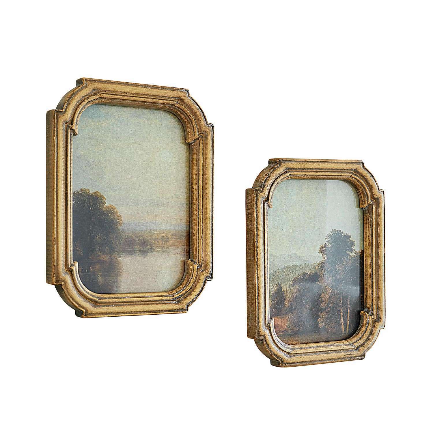 Set de 2 cuadros Fleuroix