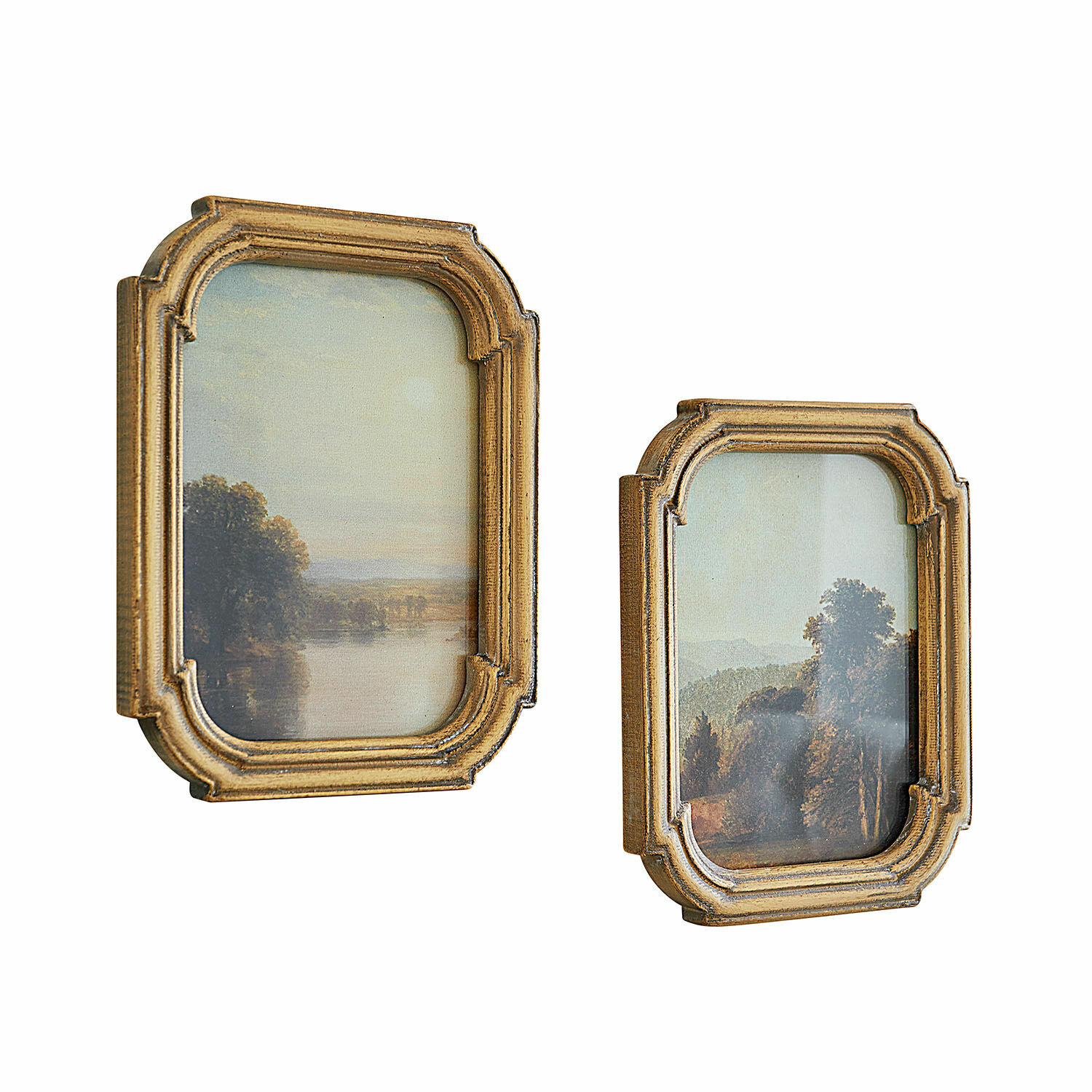Set de 2 cuadros Fleuroix