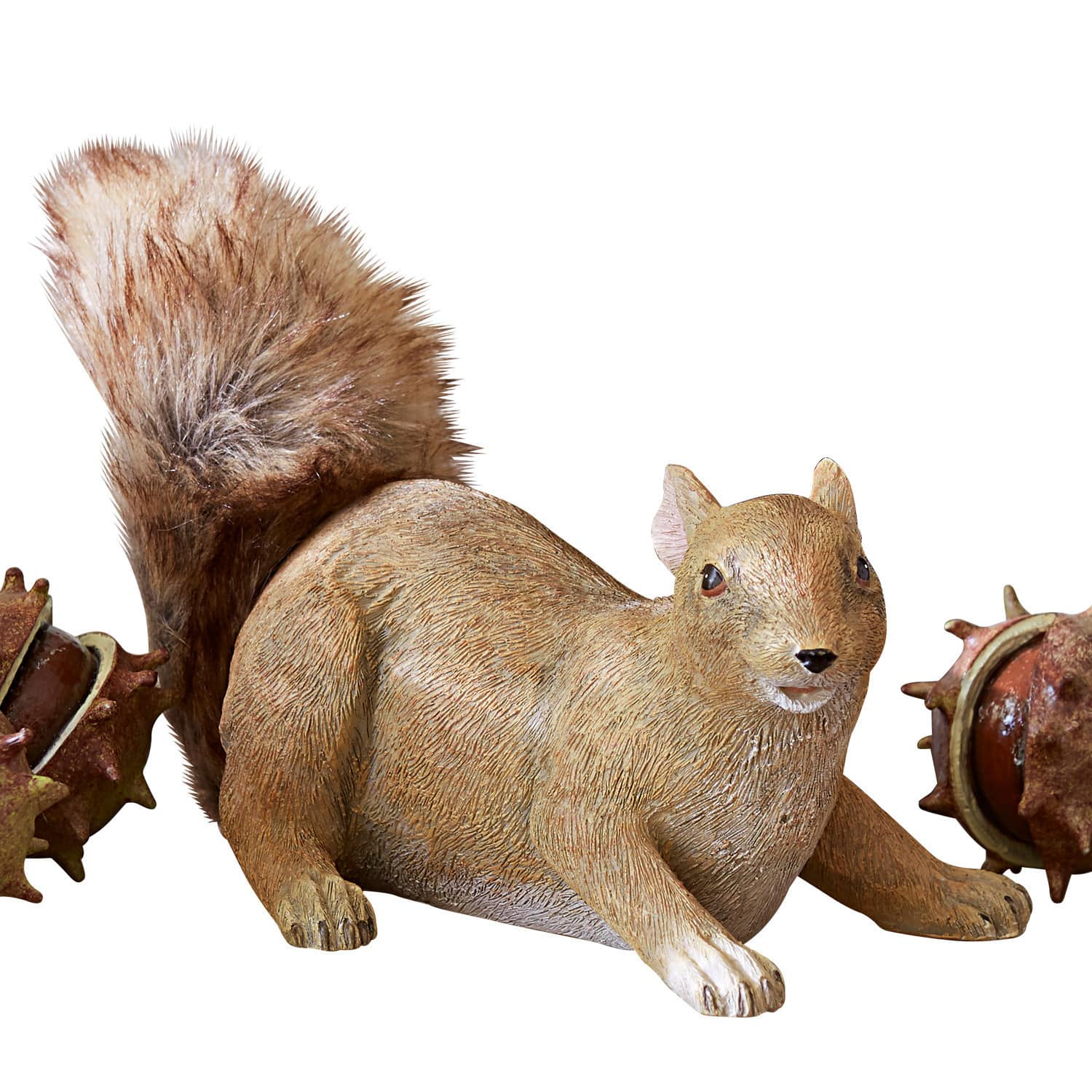 Eichhörnchen Eliot