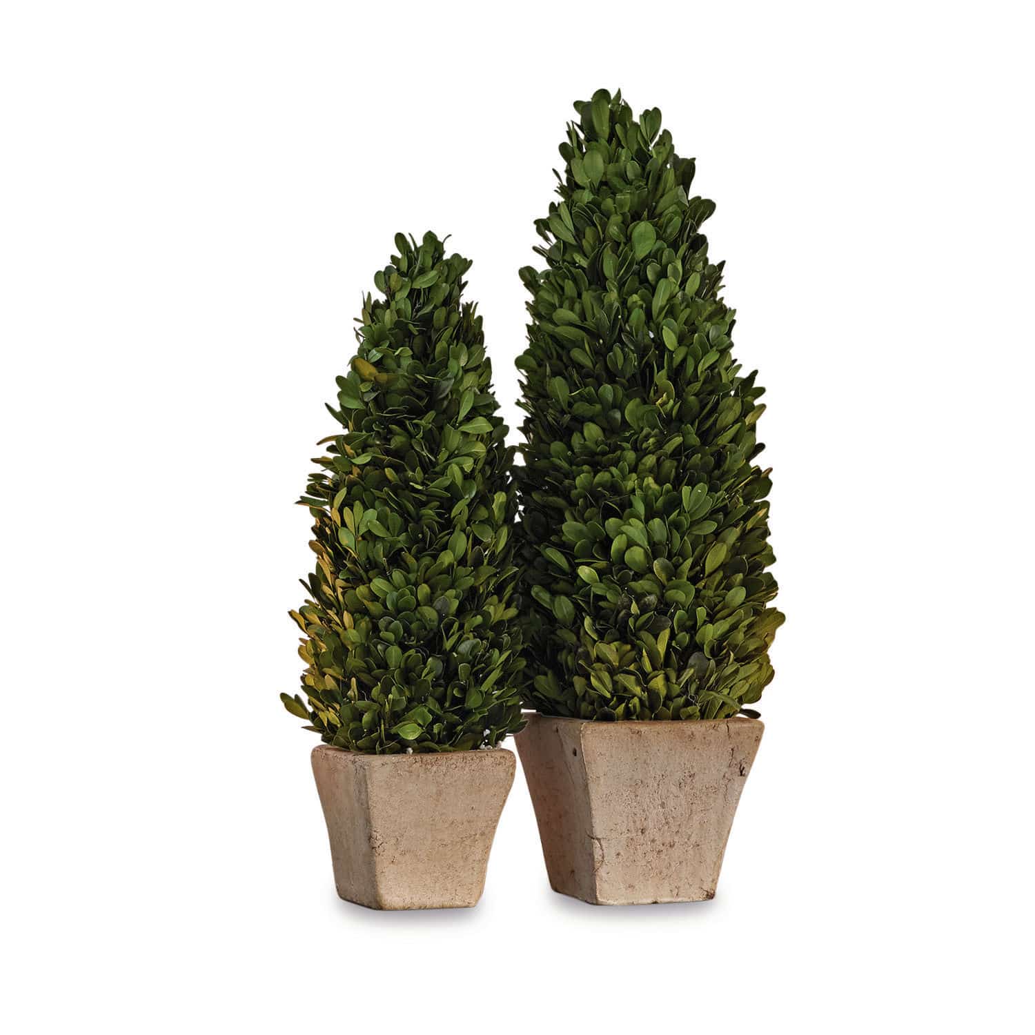 Set de 2 árboles decorativos Pierry