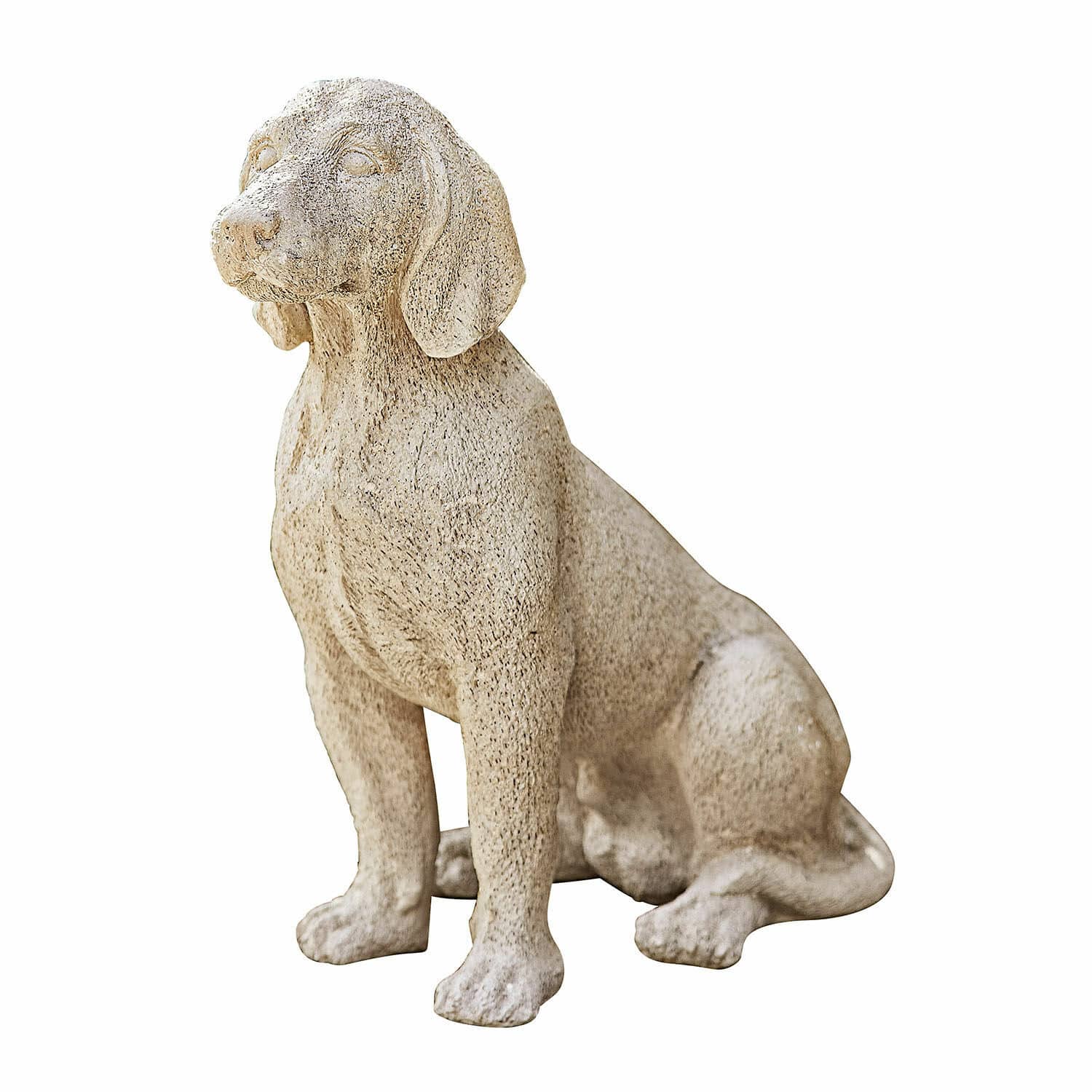 Perro decorativo Albinor