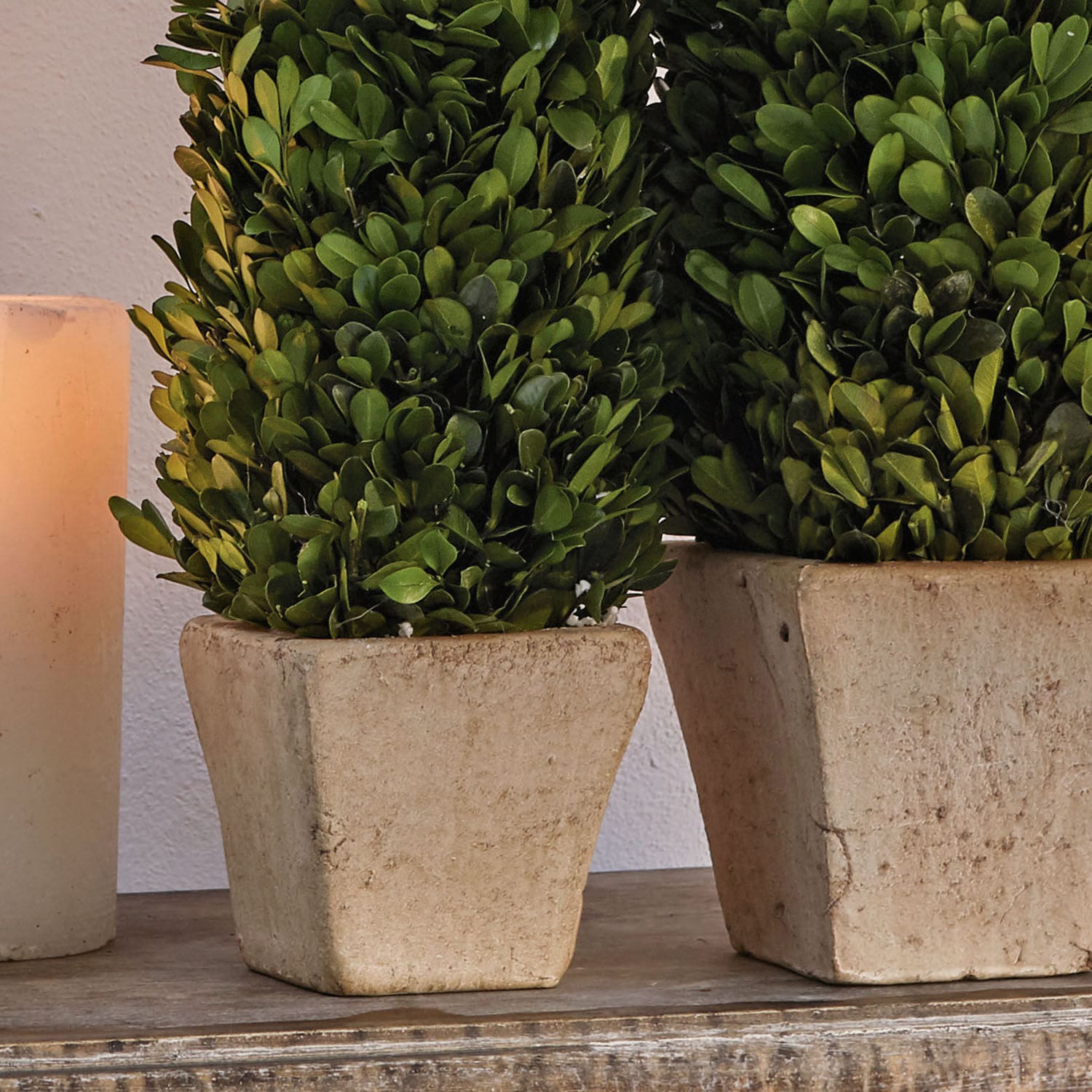 Set de 2 árboles decorativos Pierry