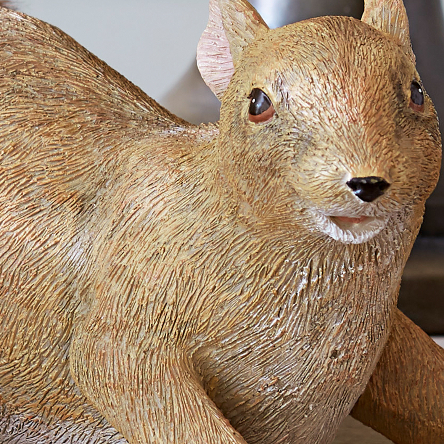 Eichhörnchen Eliot