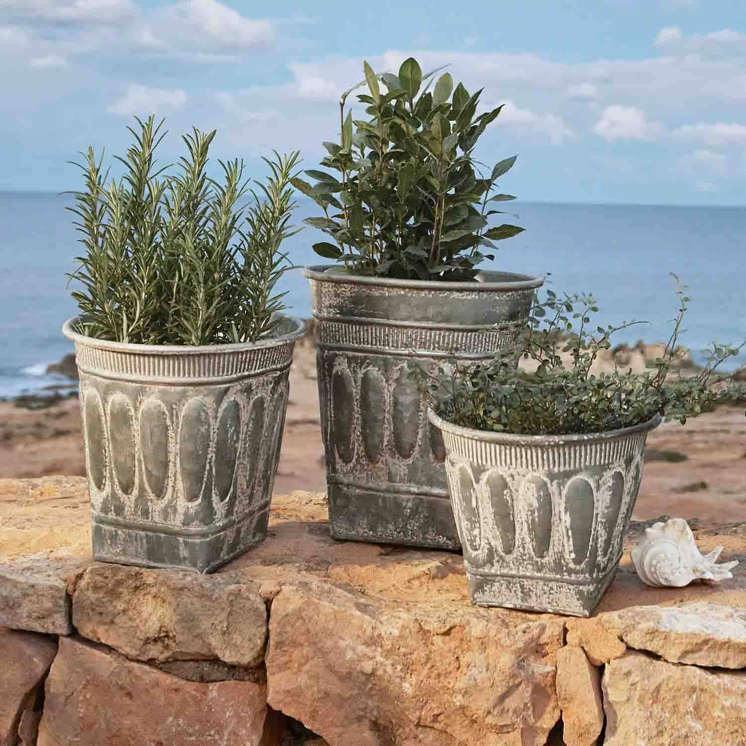 Tres macetas decorativas de metal envejecido gris con plantas verdes frente al mar, jardín