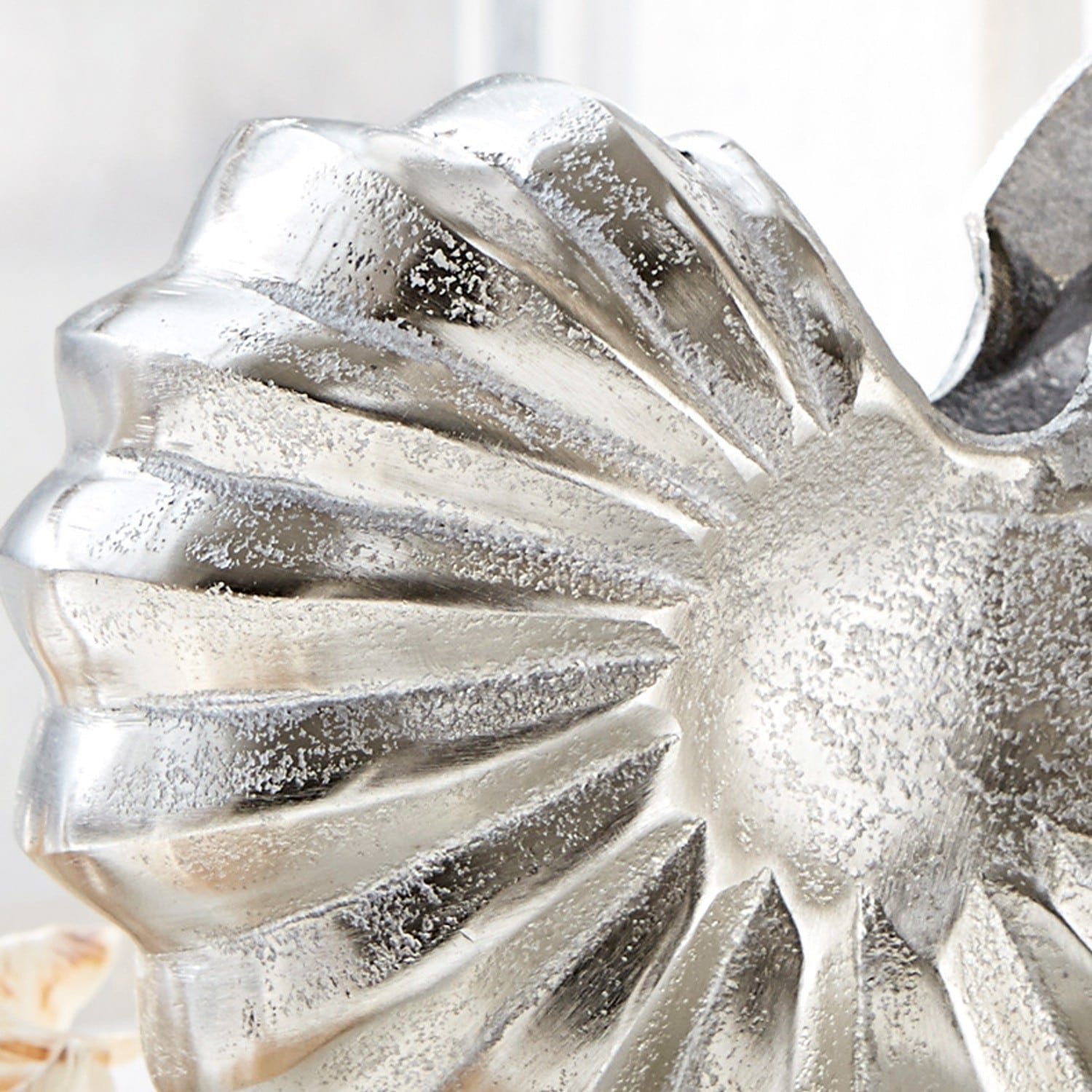 Amonita decorativa Whirl