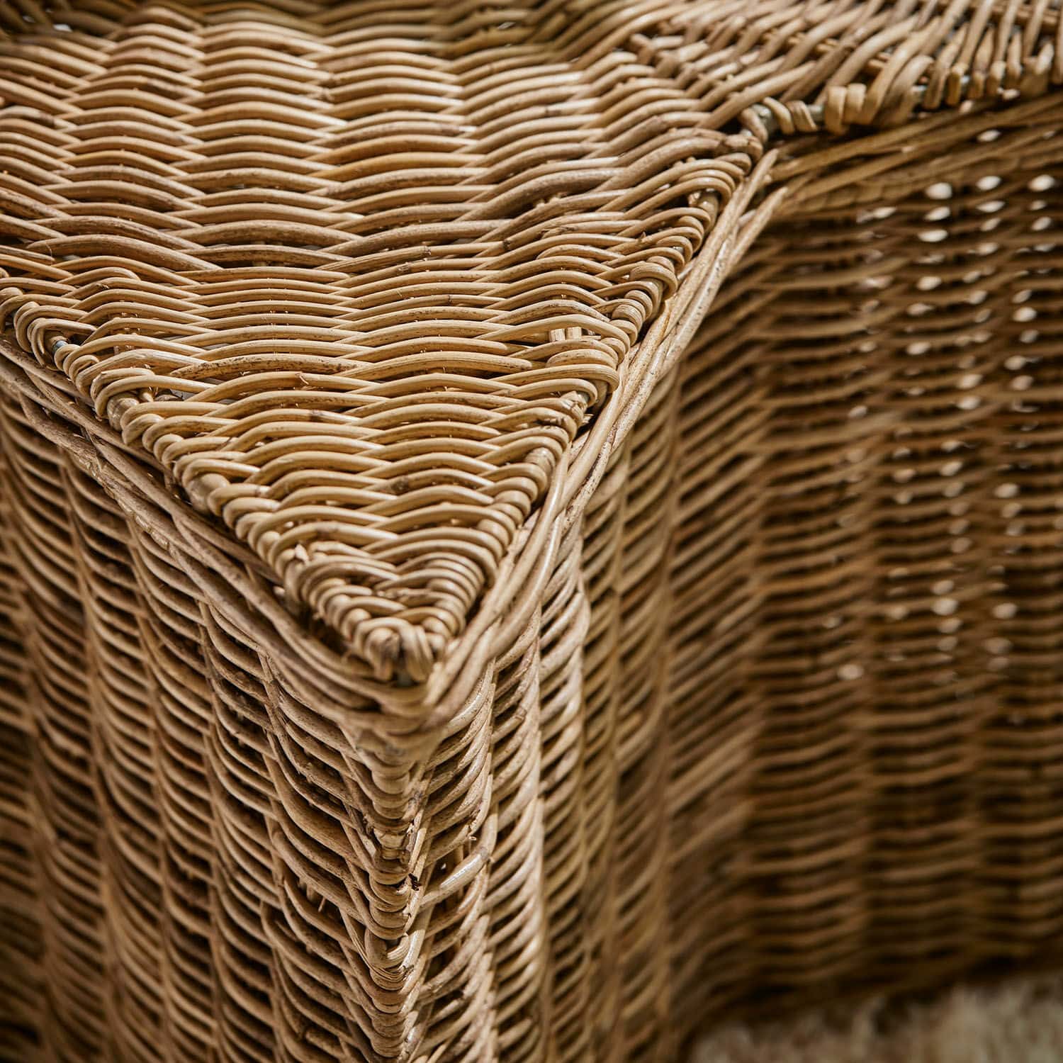 Cesta Rivolina