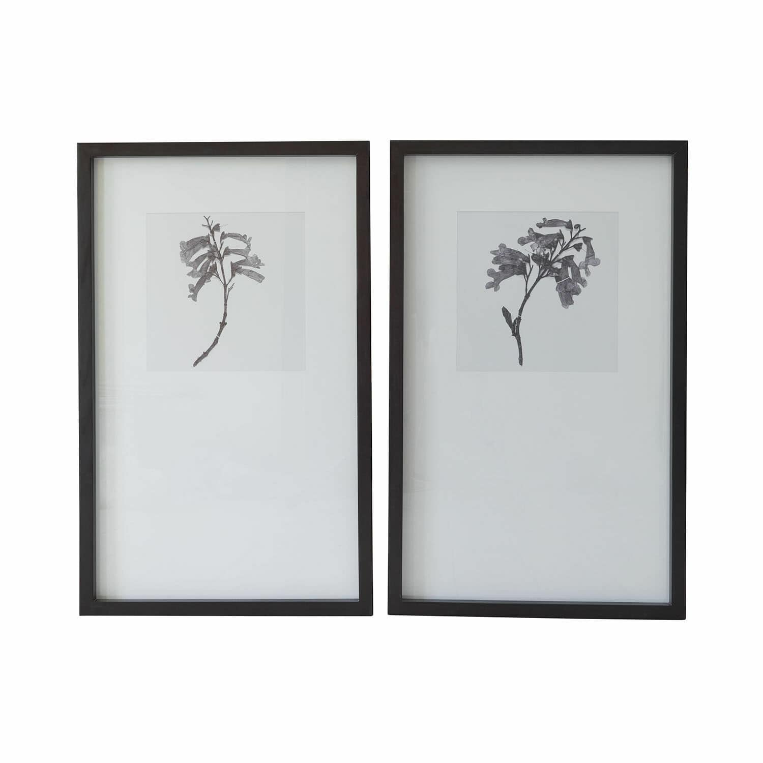 Set de 2 cuadros Virelune