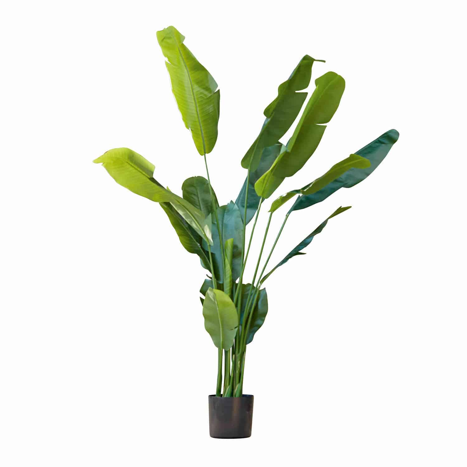 Planta decorativa Lennidas Planta artificial de plátano en maceta negra con hojas verdes para decoración interior