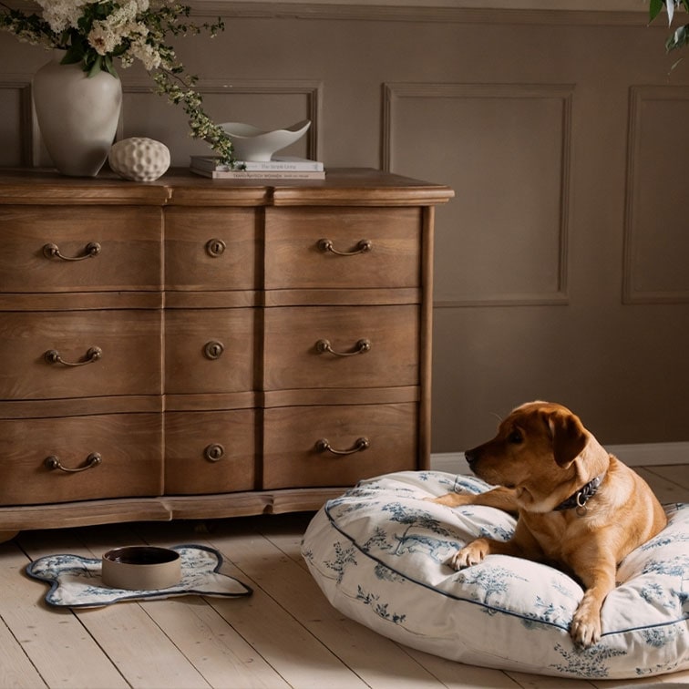 Perro marrón descansando sobre un cojín blanco con estampado junto a una cómoda de madera vintage