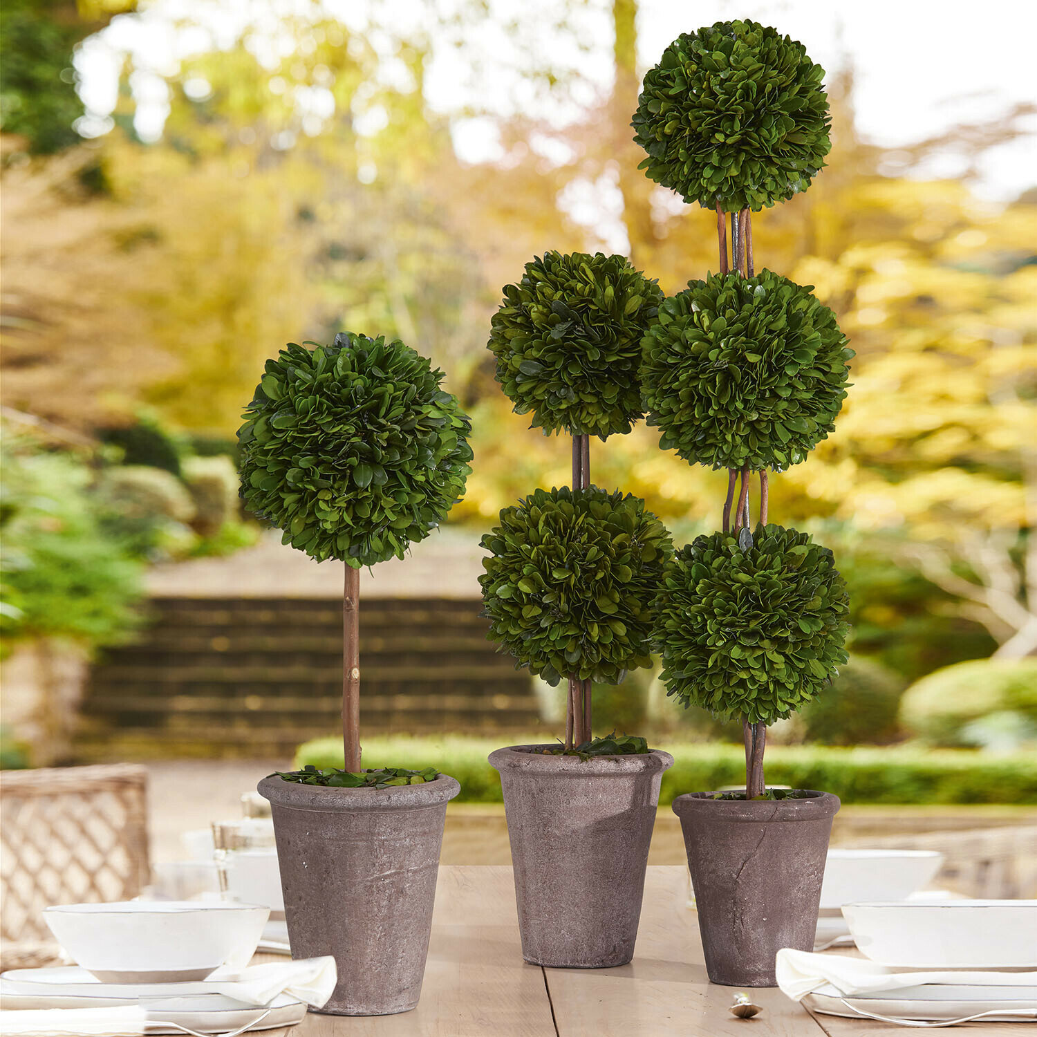 Set de 3 árboles decorativos Dunjes Árboles artificiales decorativos en macetas con hojas verdes en forma de bola sobre mesa de jardín