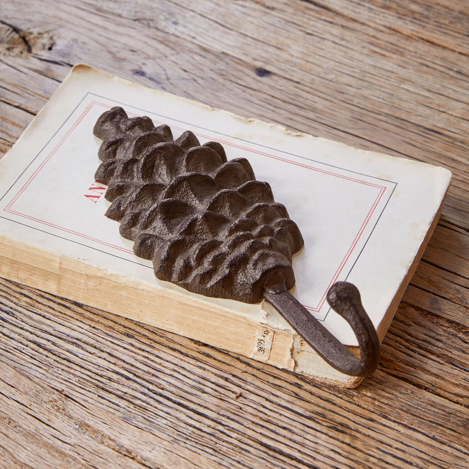 Gancho con forma de piña Dweyn