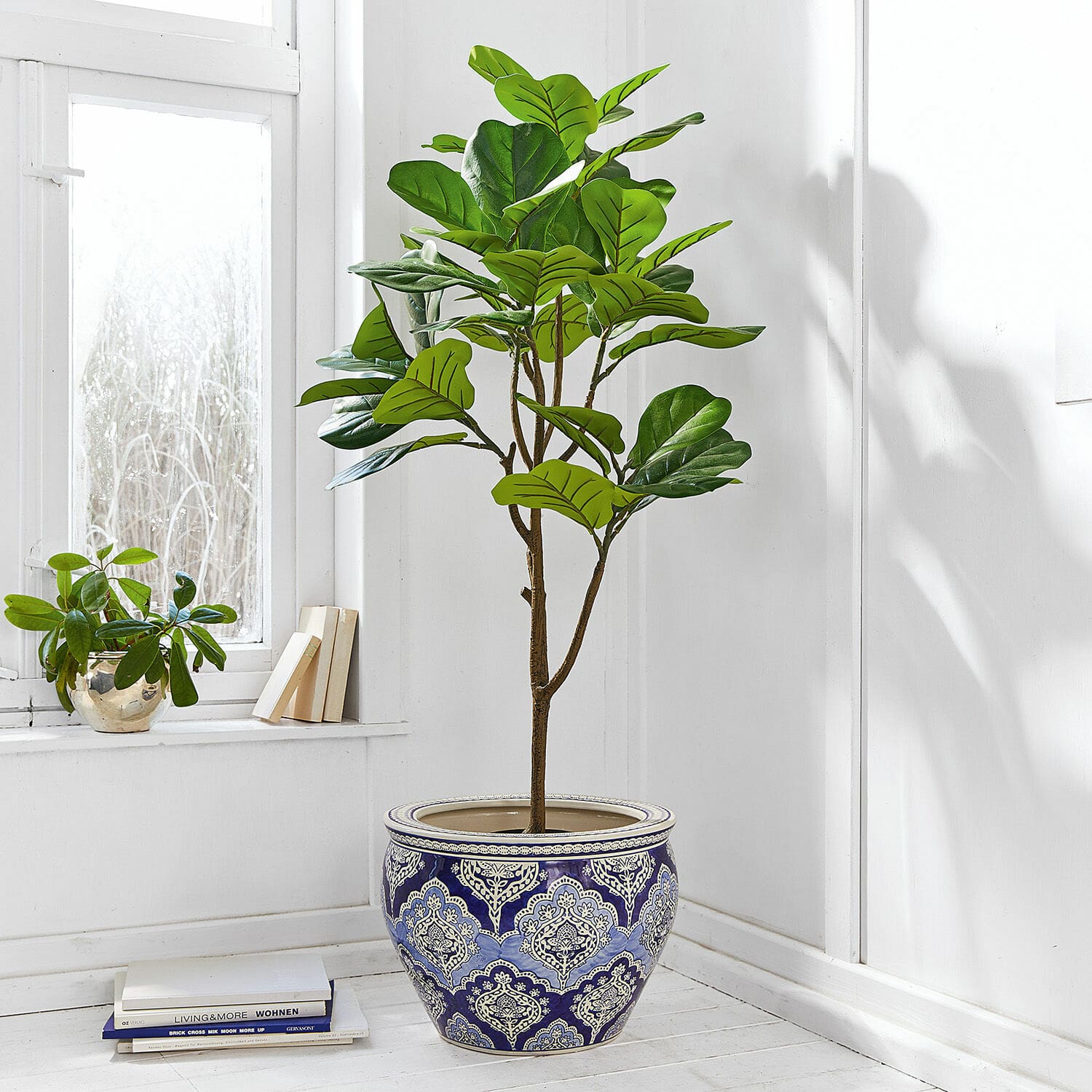 Planta decorativa en maceta Evolet