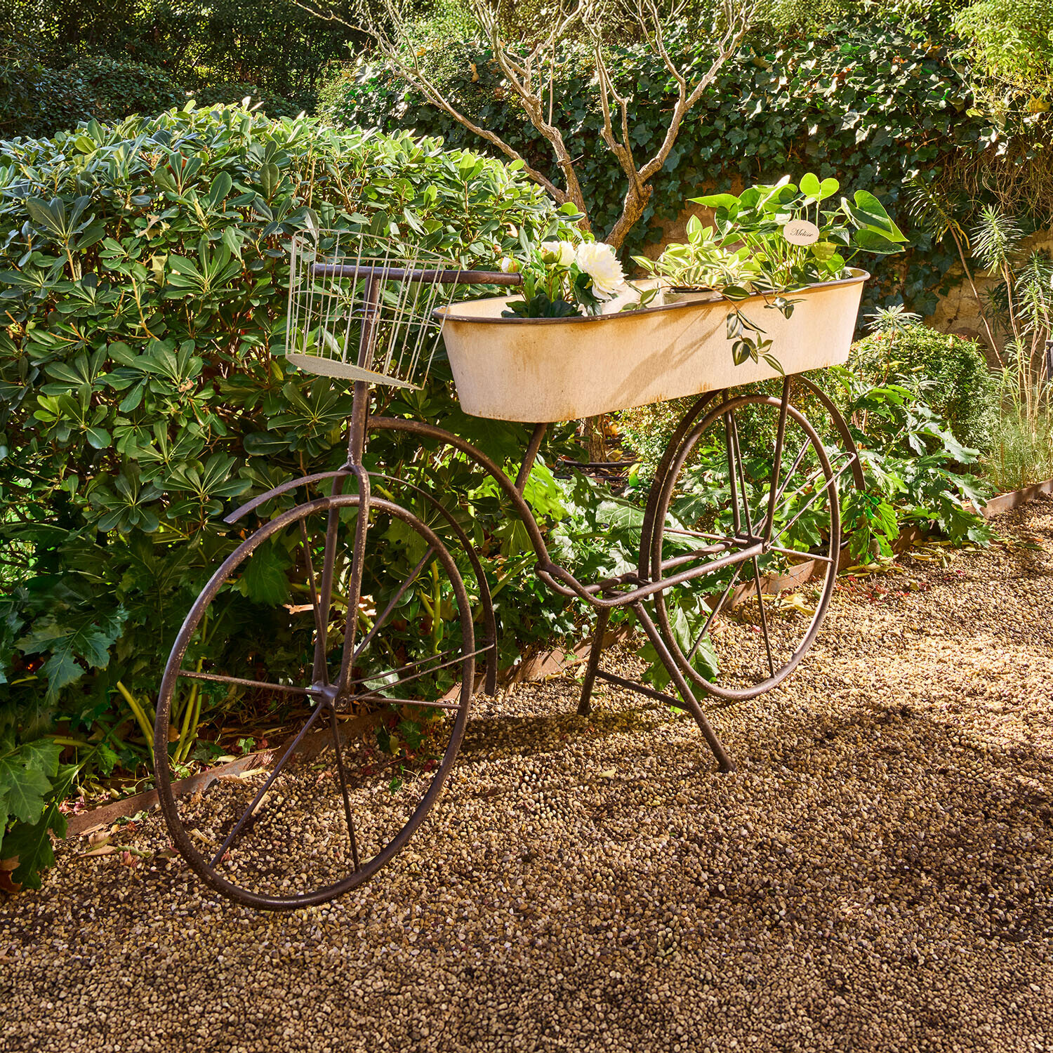 Bicicleta para plantas Donnérie Bicicleta decorativa de metal con maceta blanca y plantas verdes sobre camino de grava en jardín