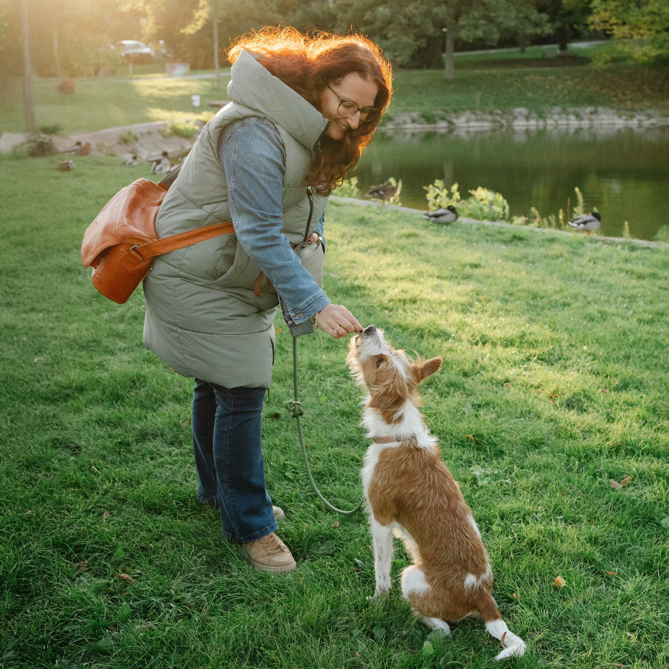 Mujer con chaleco verde y vaqueros azules alimenta a un perro sentado en césped verde en un parque