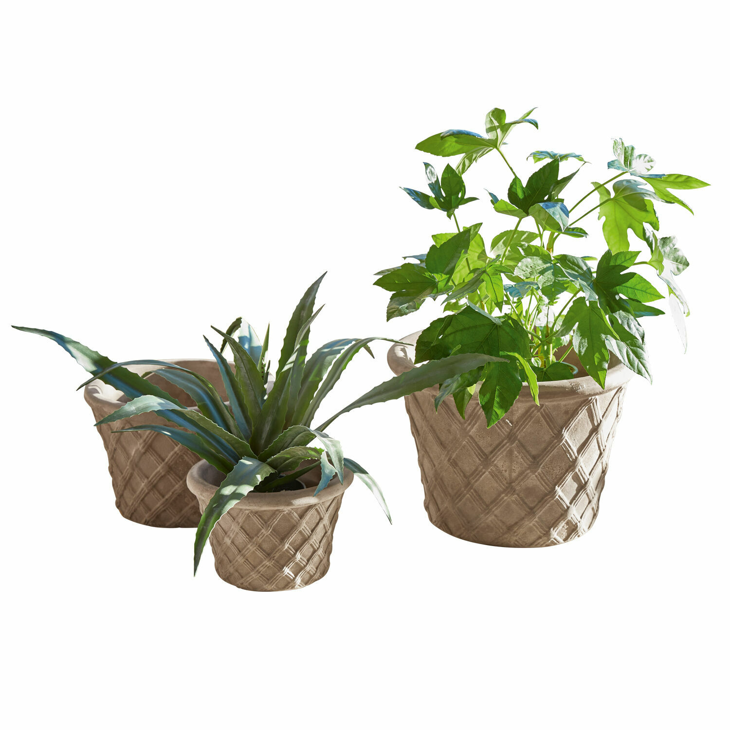Set de 3 macetas Provenchères