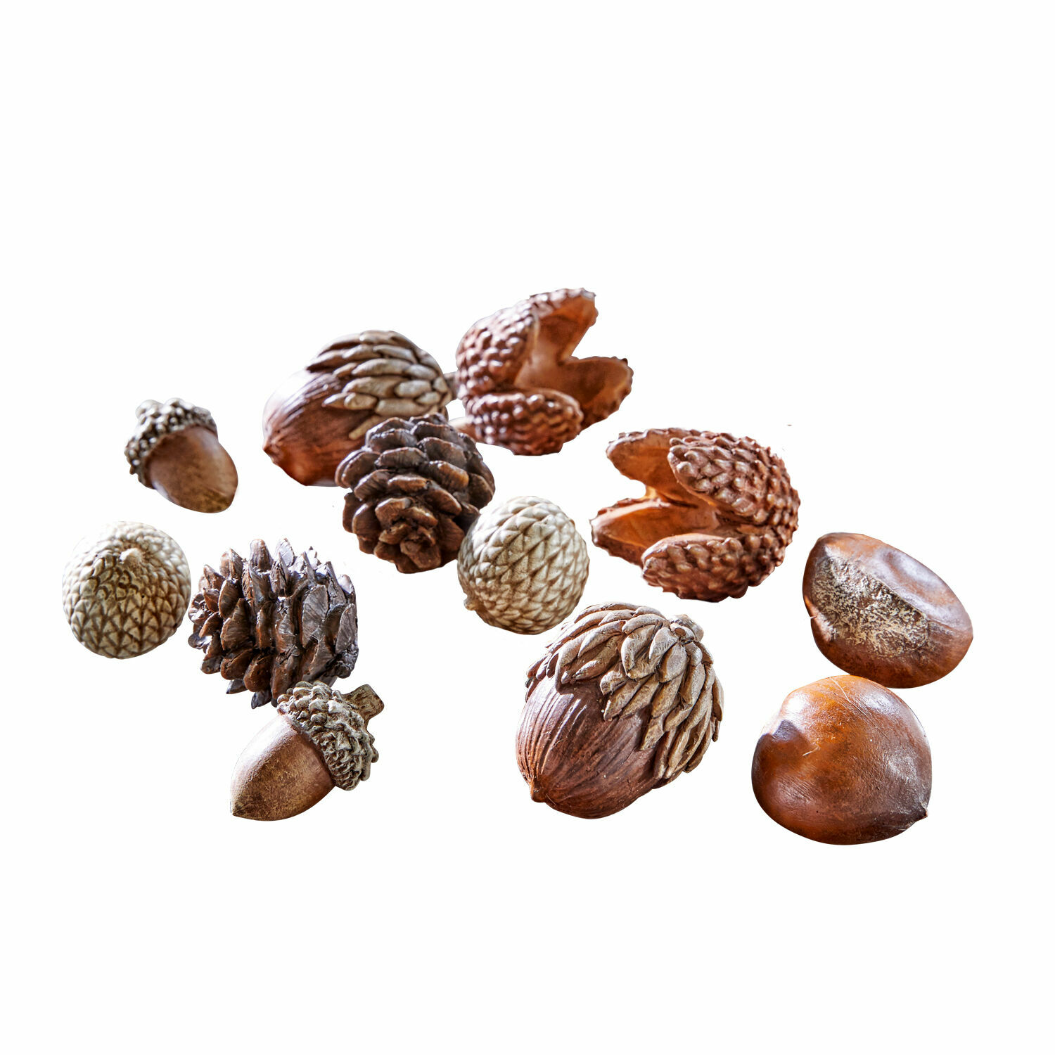 Set de 12 objetos decorativos de otoño Vibius Conjunto decorativo de nueces y piñas en tonos marrones naturales sobre fondo blanco