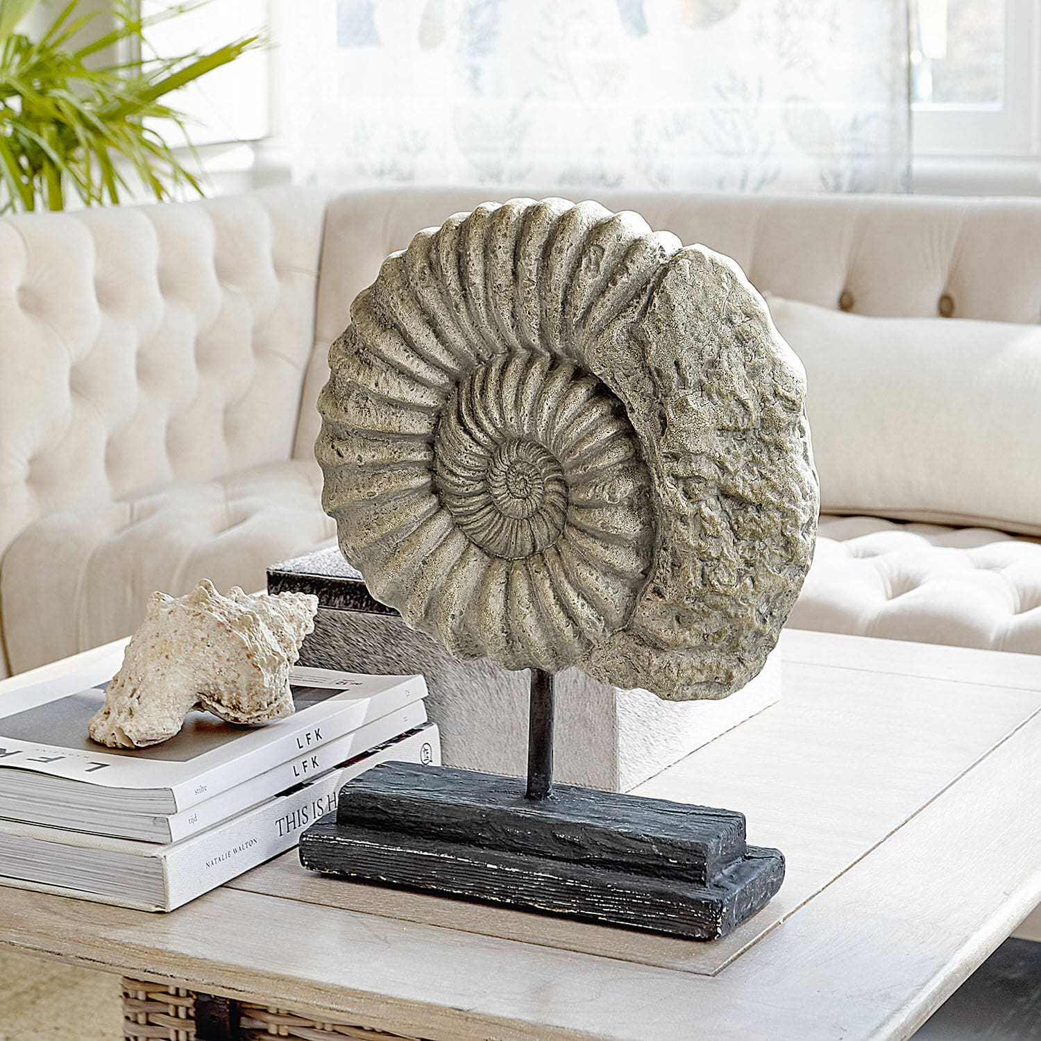 Objeto decorativo Dewey Escultura decorativa de amonita de piedra sobre base negra en mesa de salón