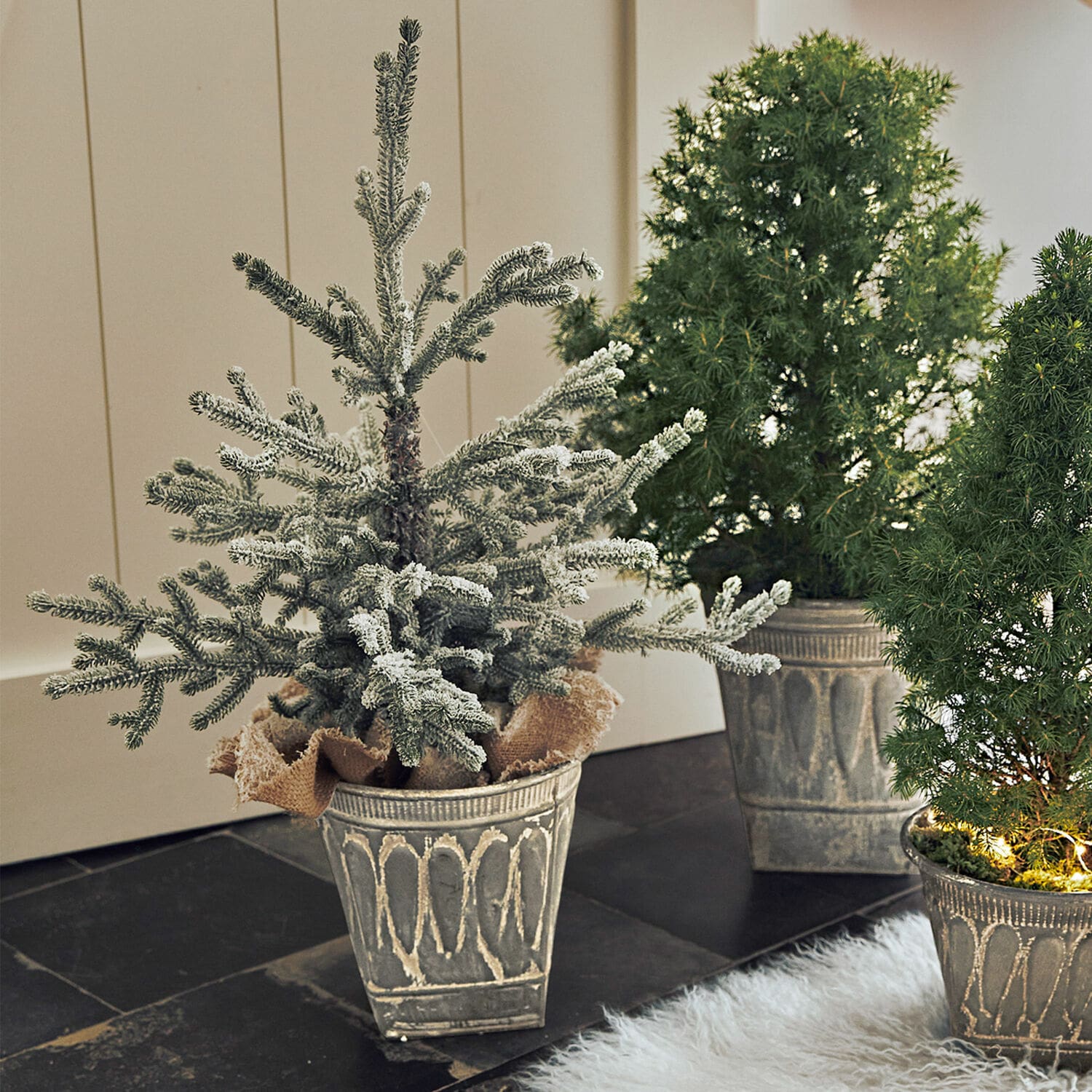 Árbol decorativo Glenda