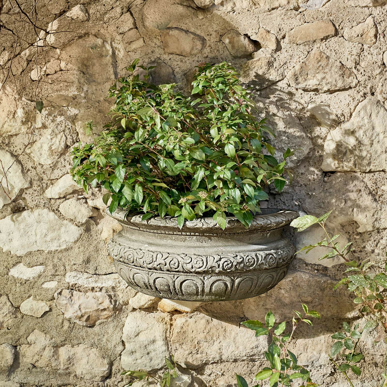 Maceta de pared decorativa de hormigón con hojas verdes frente a muro de piedra rústica