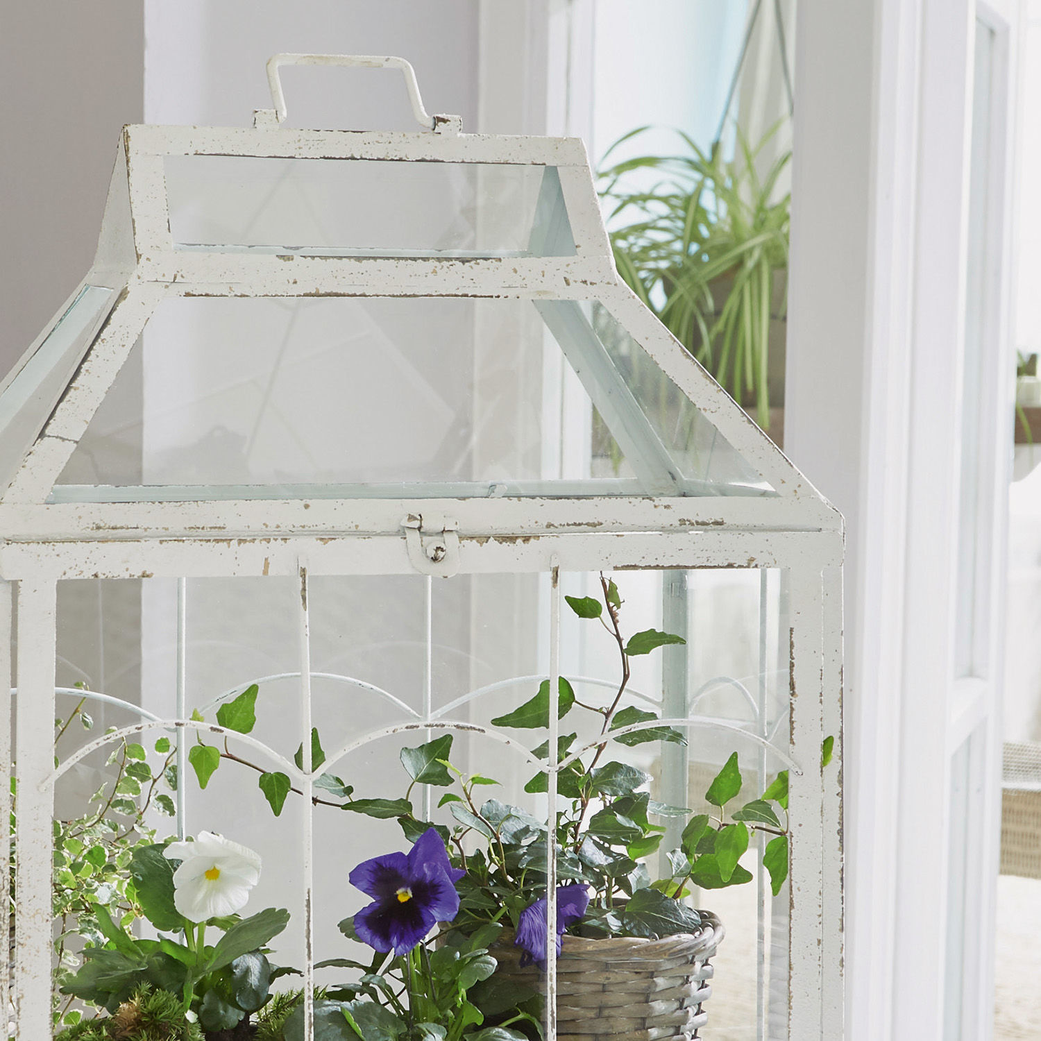 Farol Couriar