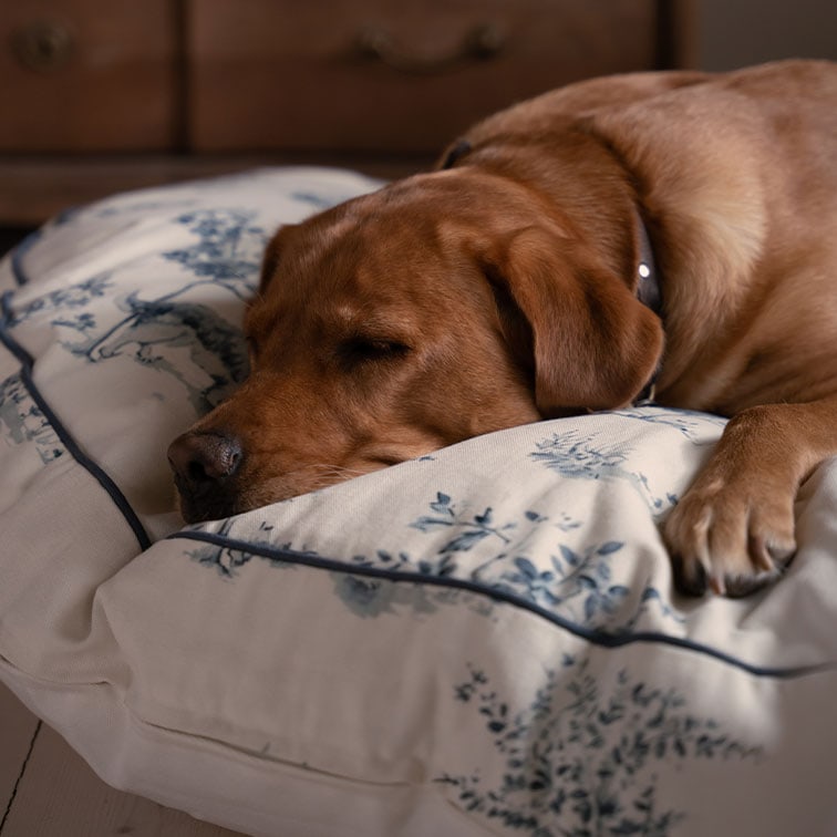 Perro marrón durmiendo sobre cojín crema con estampado floral azul, tela suave