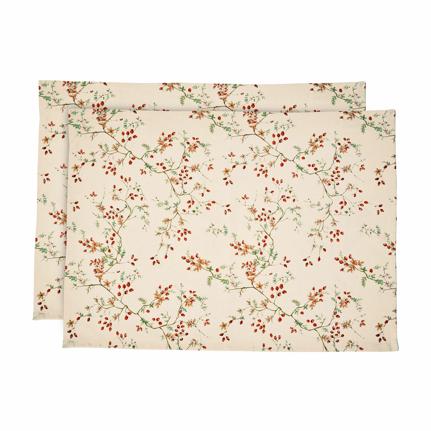 Set de 2 paños de cocina Mauriac