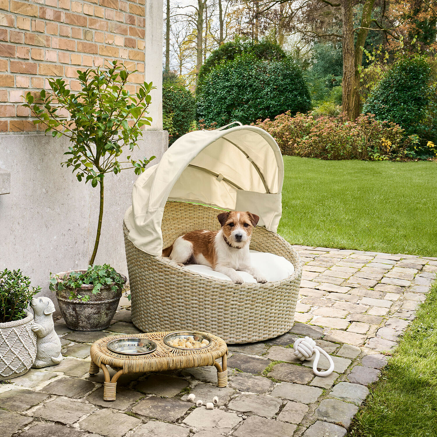 Cama para perro de ratán beige con toldo, perro pequeño marrón y blanco descansando en jardín