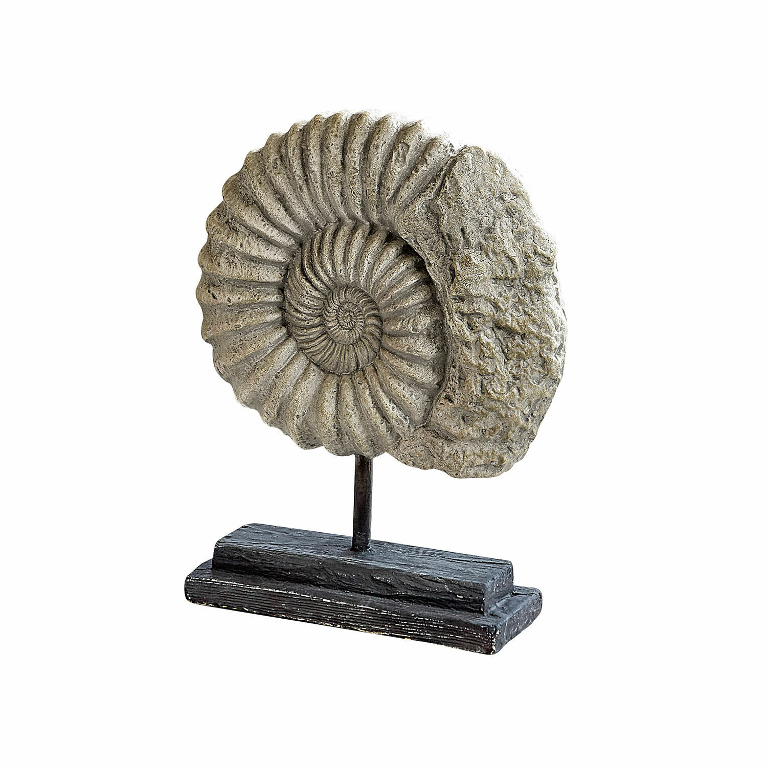 Objeto decorativo Dewey Figura decorativa gris de amonita sobre base negra de madera y metal