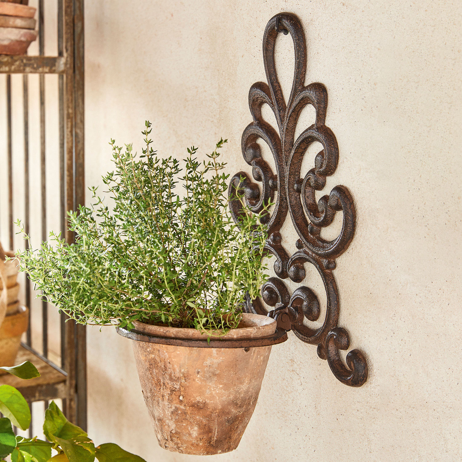 Maceta rústica de terracota colgada en soporte de pared de metal decorativo para hierbas y plantas.