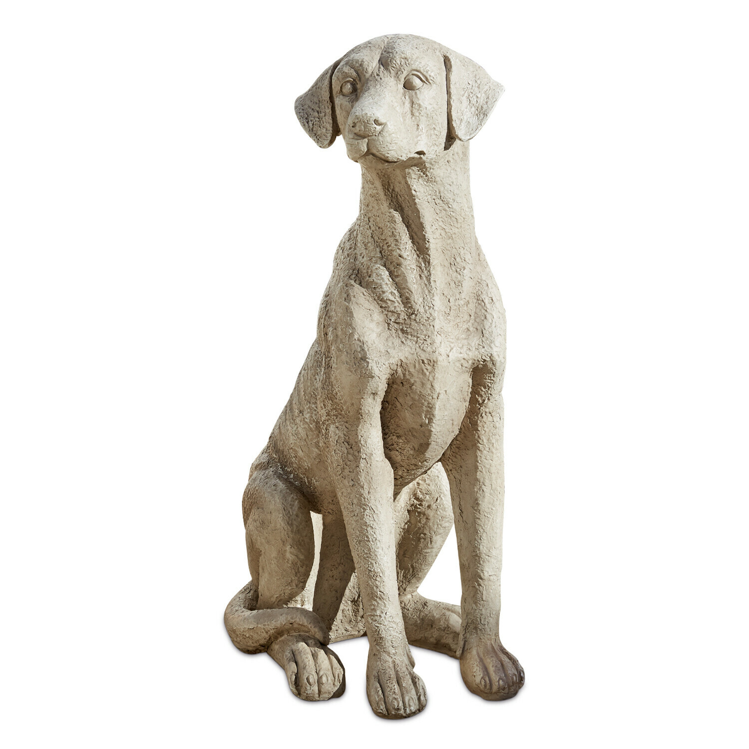 Perro decorativo Elliot
