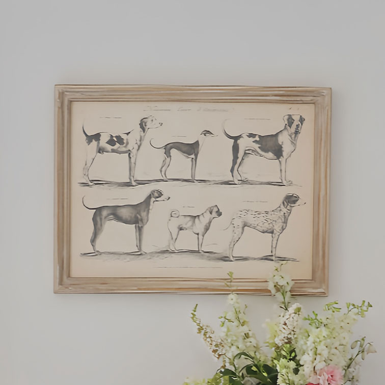 Dibujo enmarcado de seis razas de perros en blanco y negro colgado en la pared con flores abajo