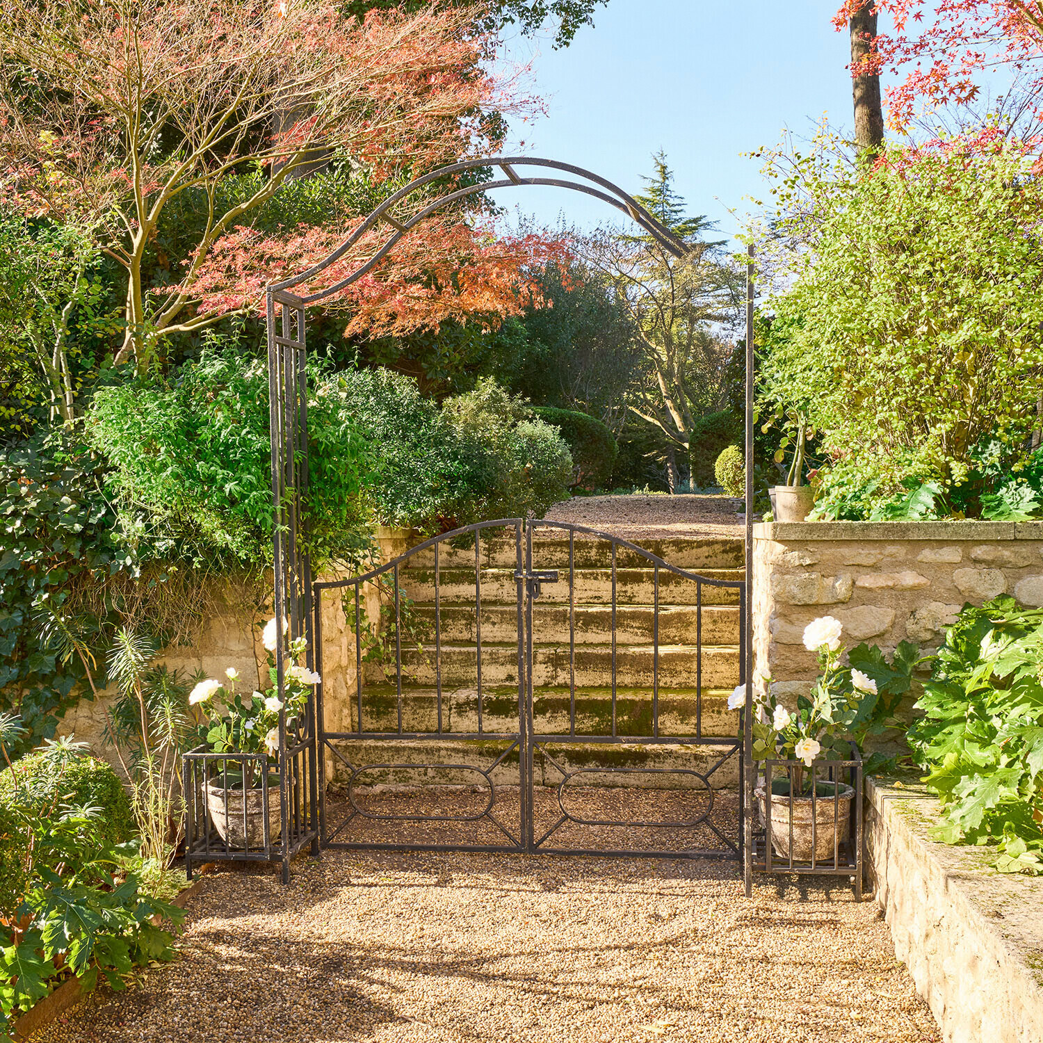 Puerta de jardín de metal negro con arco y macetas con flores blancas en camino de grava soleado