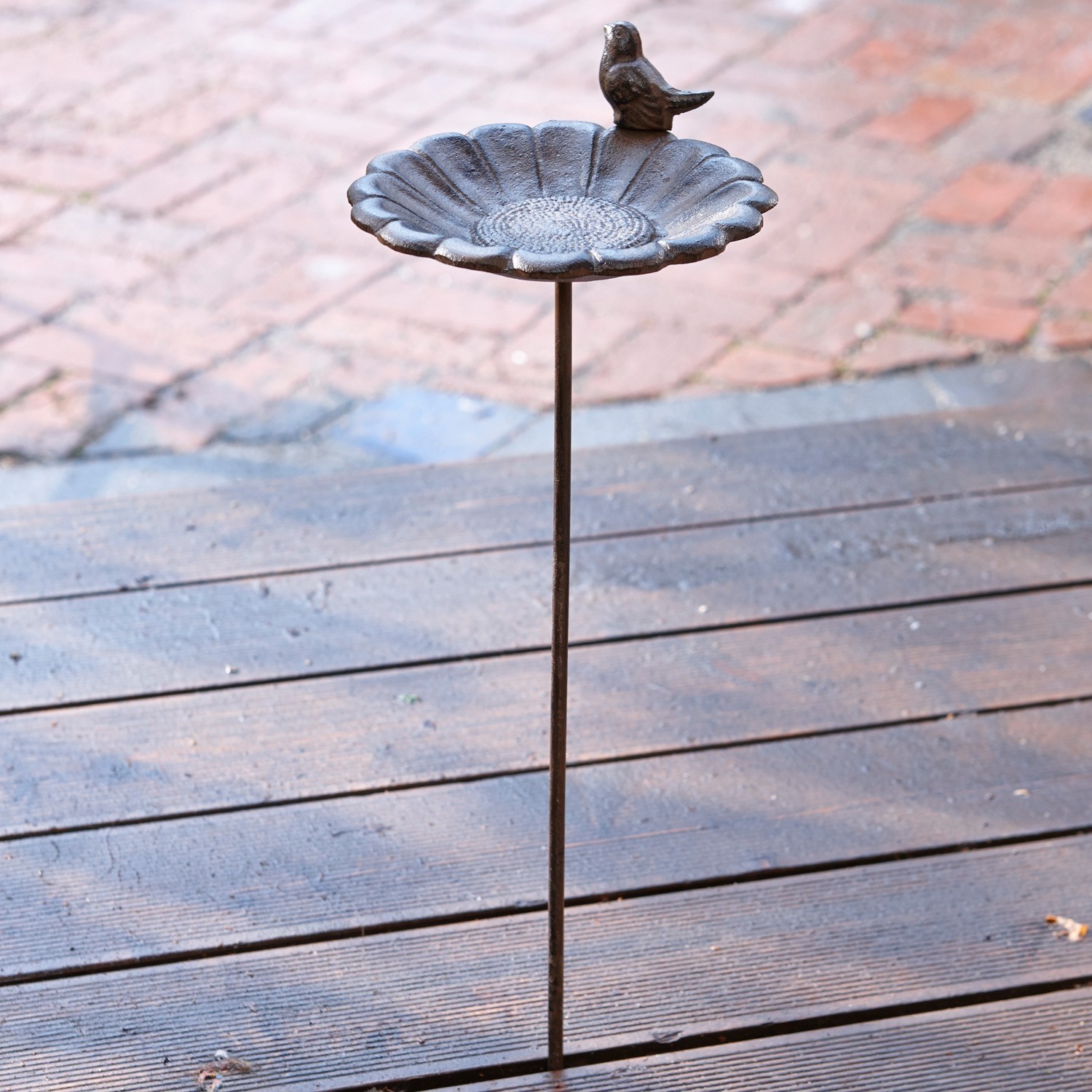Bebedero para pájaros Finch Bebedero para pájaros de metal marrón con pájaro decorativo en soporte para jardín