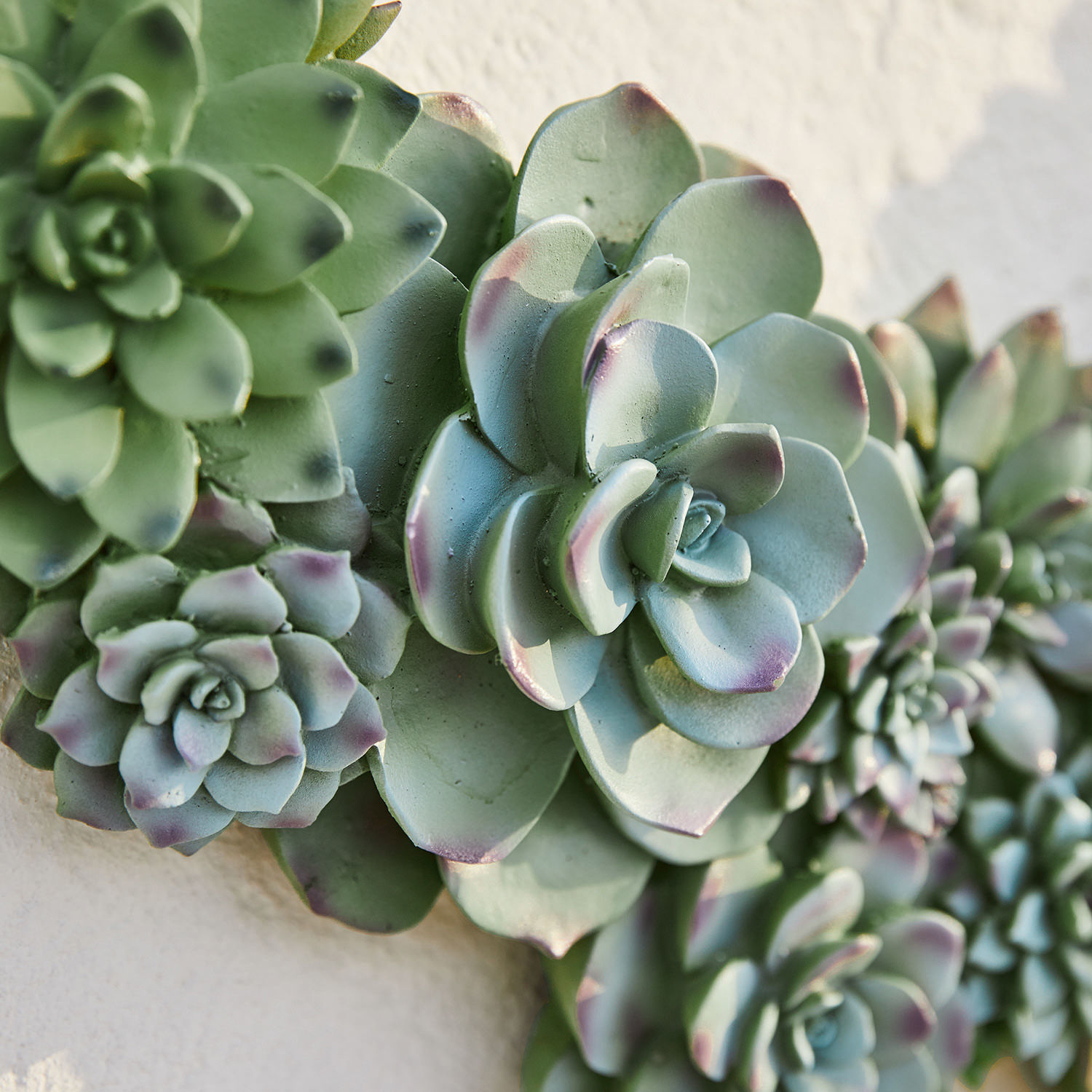 Planta decorativa Fema